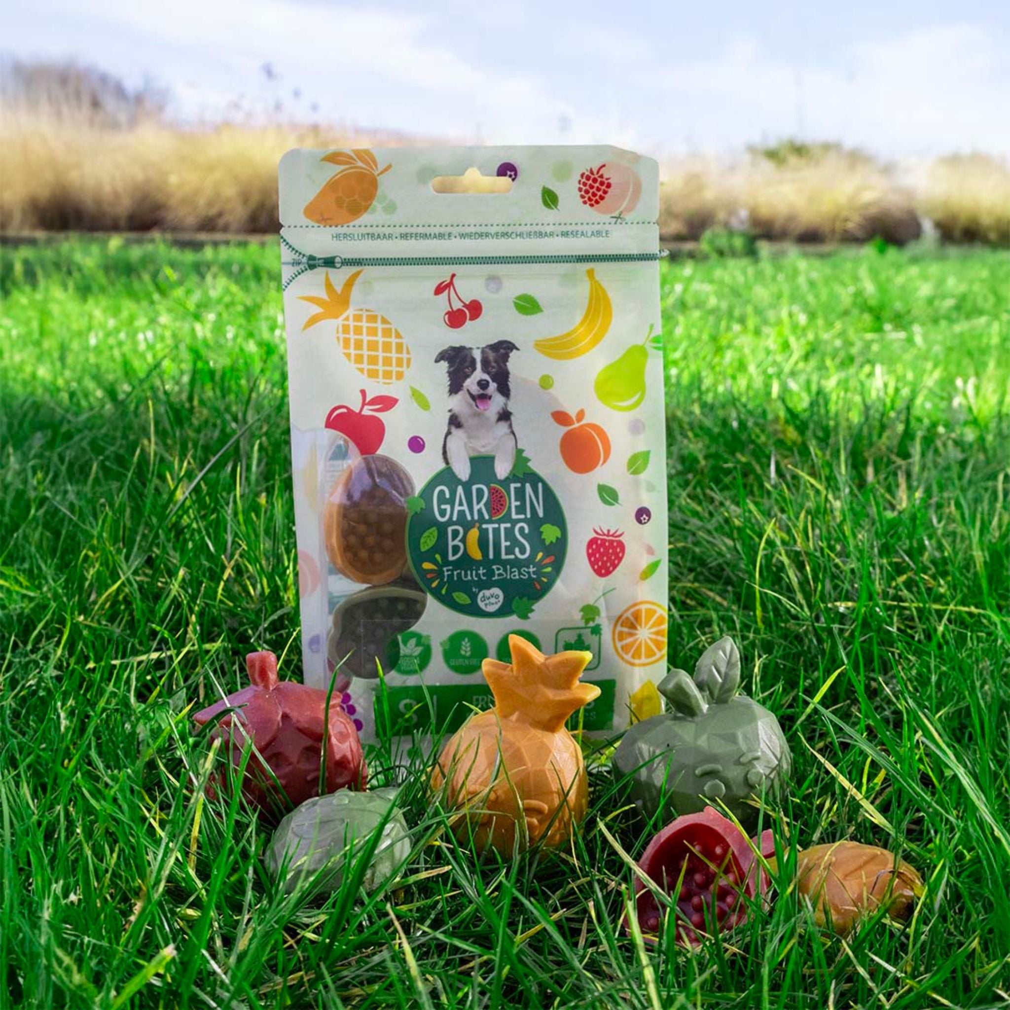 Garden Bites Fruity Buddies Medium - vegane Hundekausnacks bei Fairtails