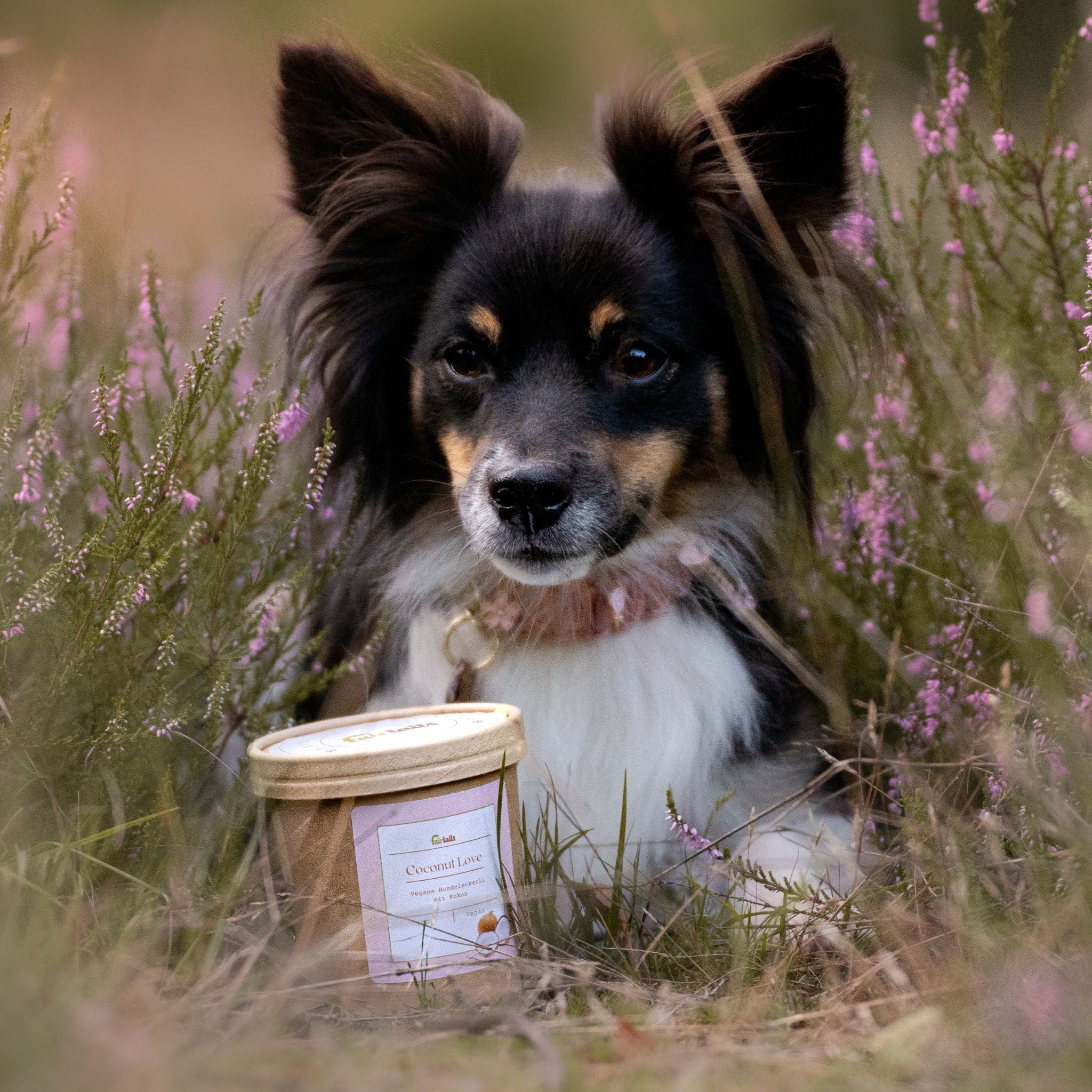 Vegane Hundeleckerli Trainingssnack Kokos bei Fairtails