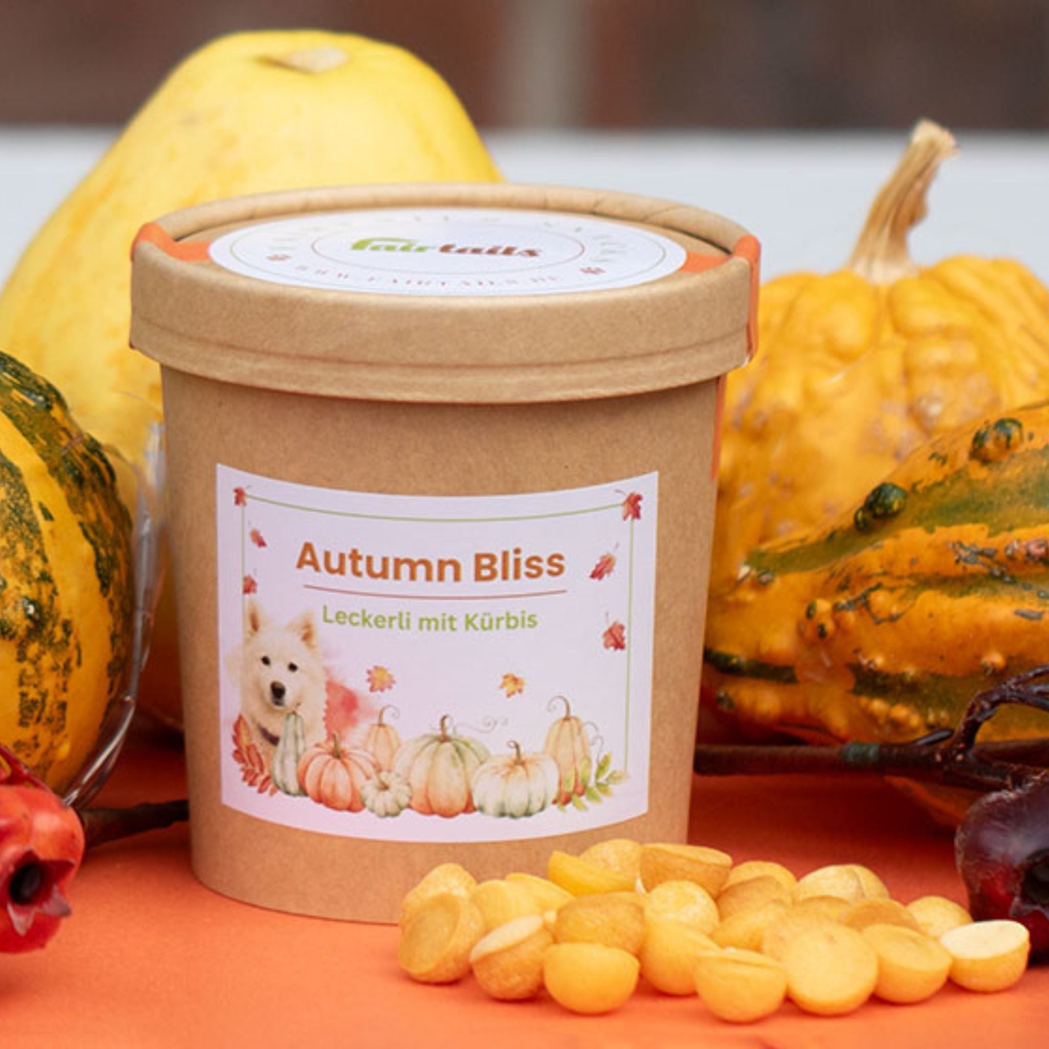 Vegane Hundeleckerli Kürbis bei Fairtails