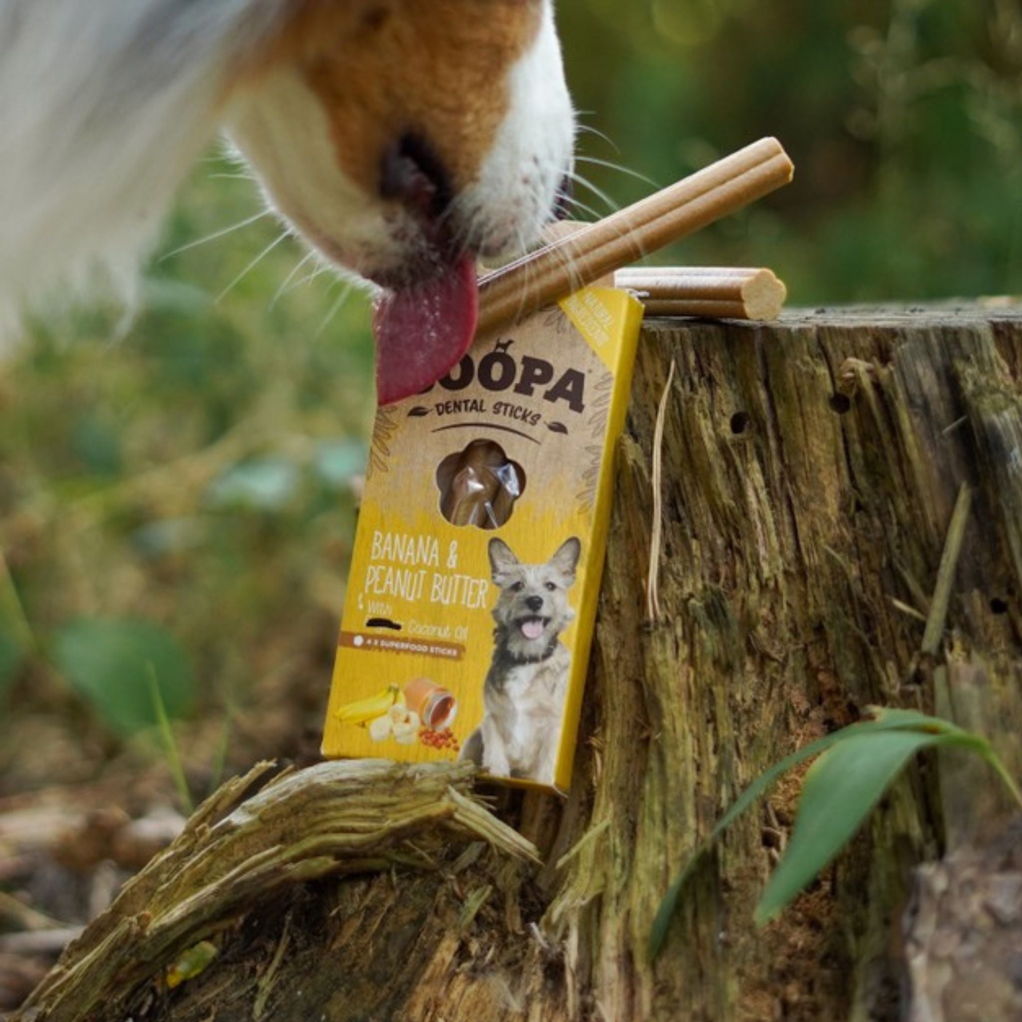 Soopa Pets Dental Sticks Banana & Peanut Butter
