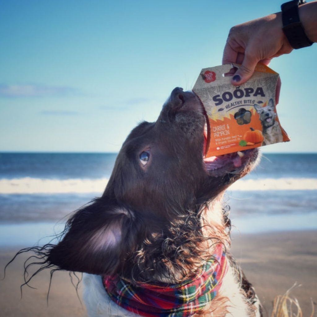 Soopa Healthy Bites Carrot & Pumpkin Vegane Hundeleckerli - FairtailsSoopa Pets Healthy Bites - vegane Hundeleckerli mit Kürbis und Karotte