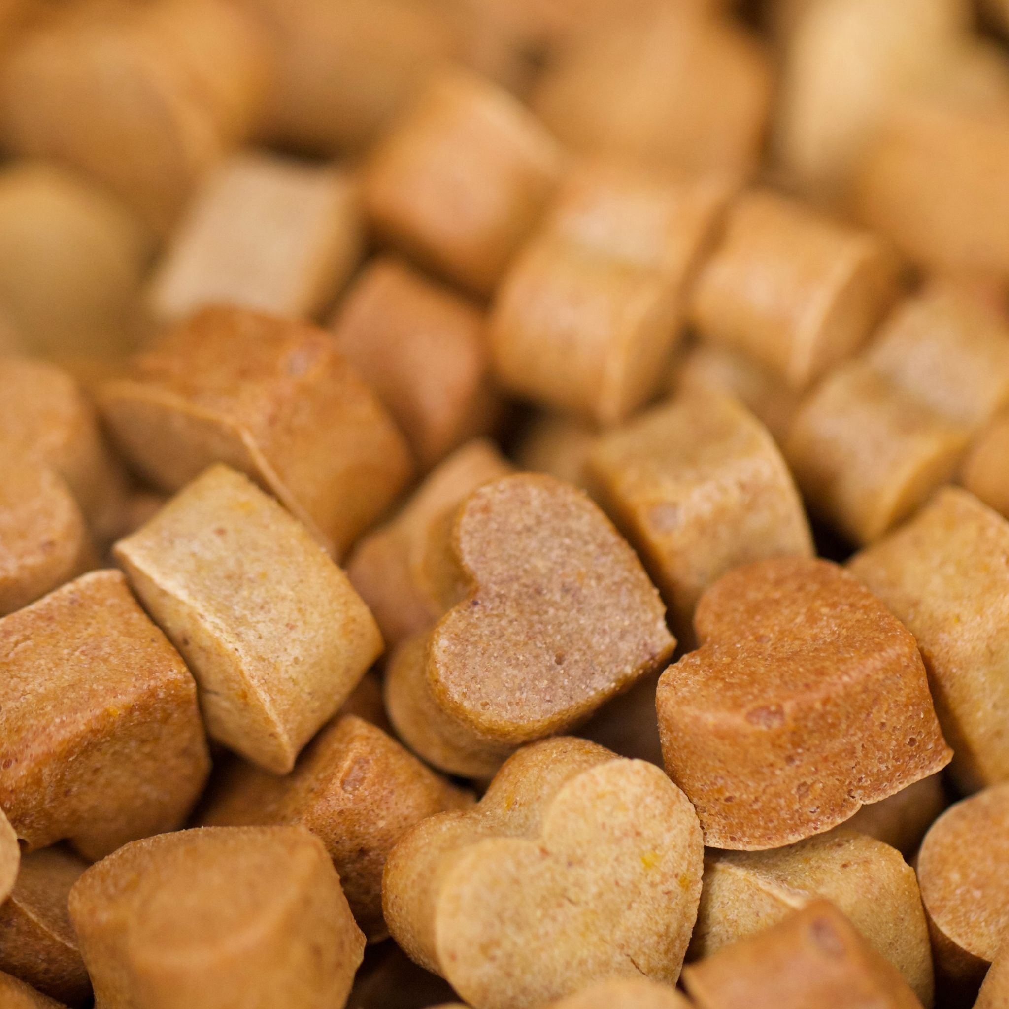 Vegane Hundeleckerli aus Kürbis bei Fairtails