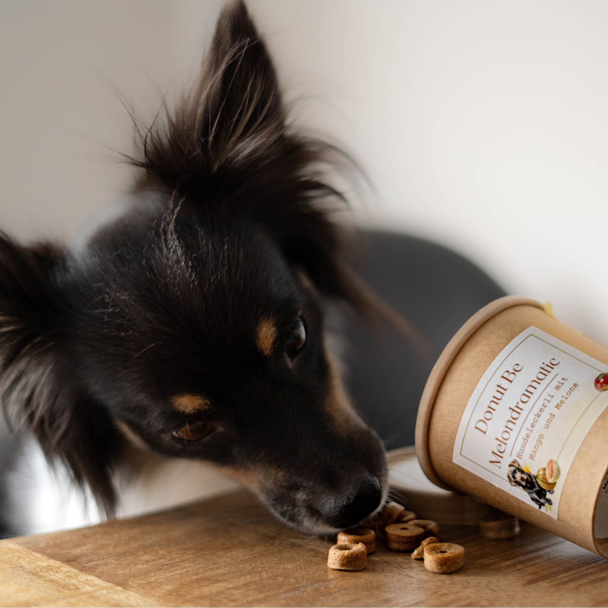 Vegane Hundeleckerli mit Mango und Melone Fairtails