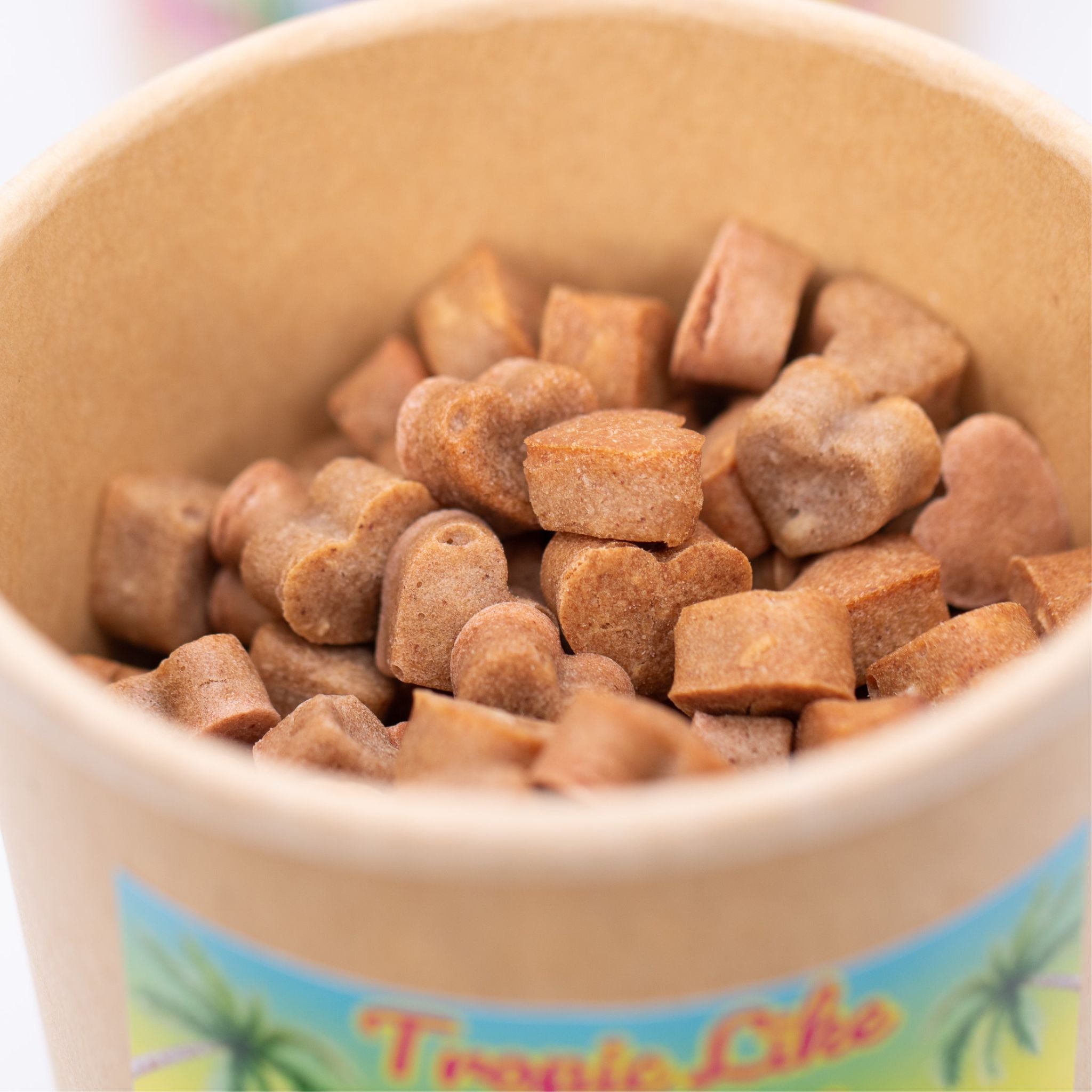 Tropic Like It`s Hot- Vegane Leckerli mit tropischen Früchten