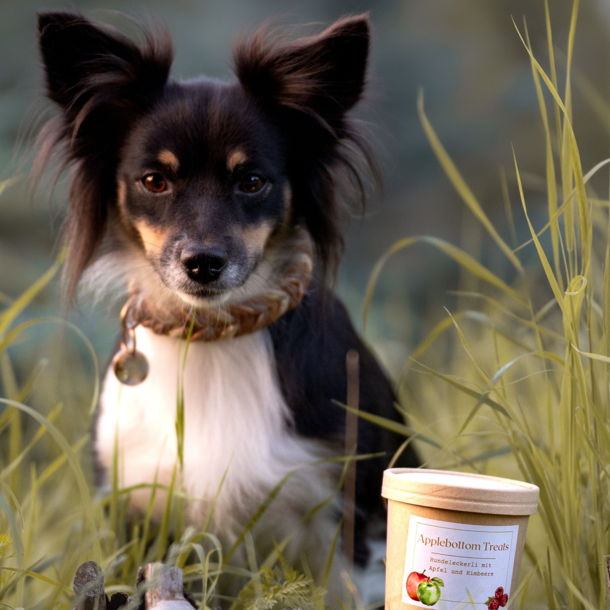 Vegane Hundeleckerli mit Apfel und Himbeere