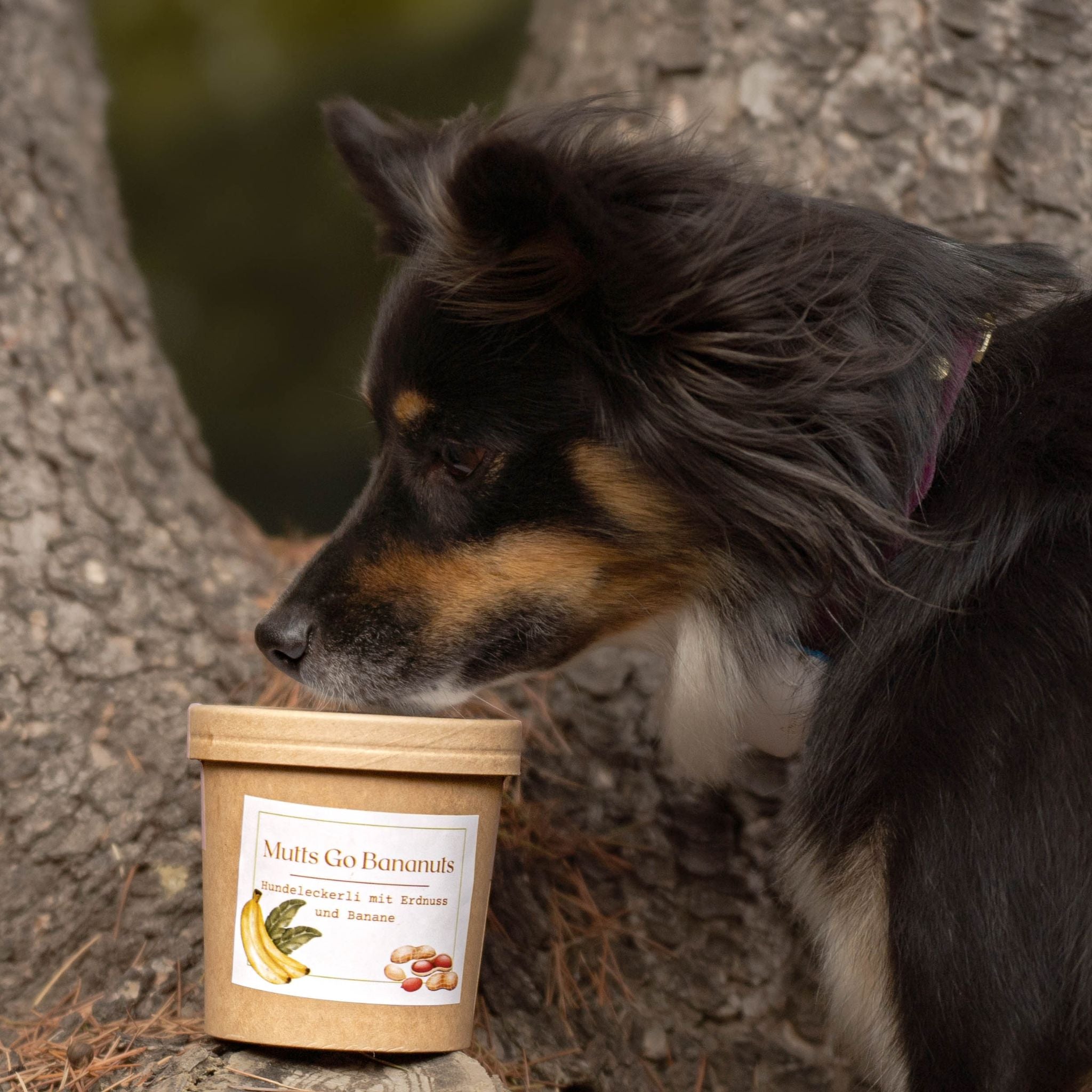 Vegane Hundeleckerli mit Banane und Erdnuss bei Fairtails