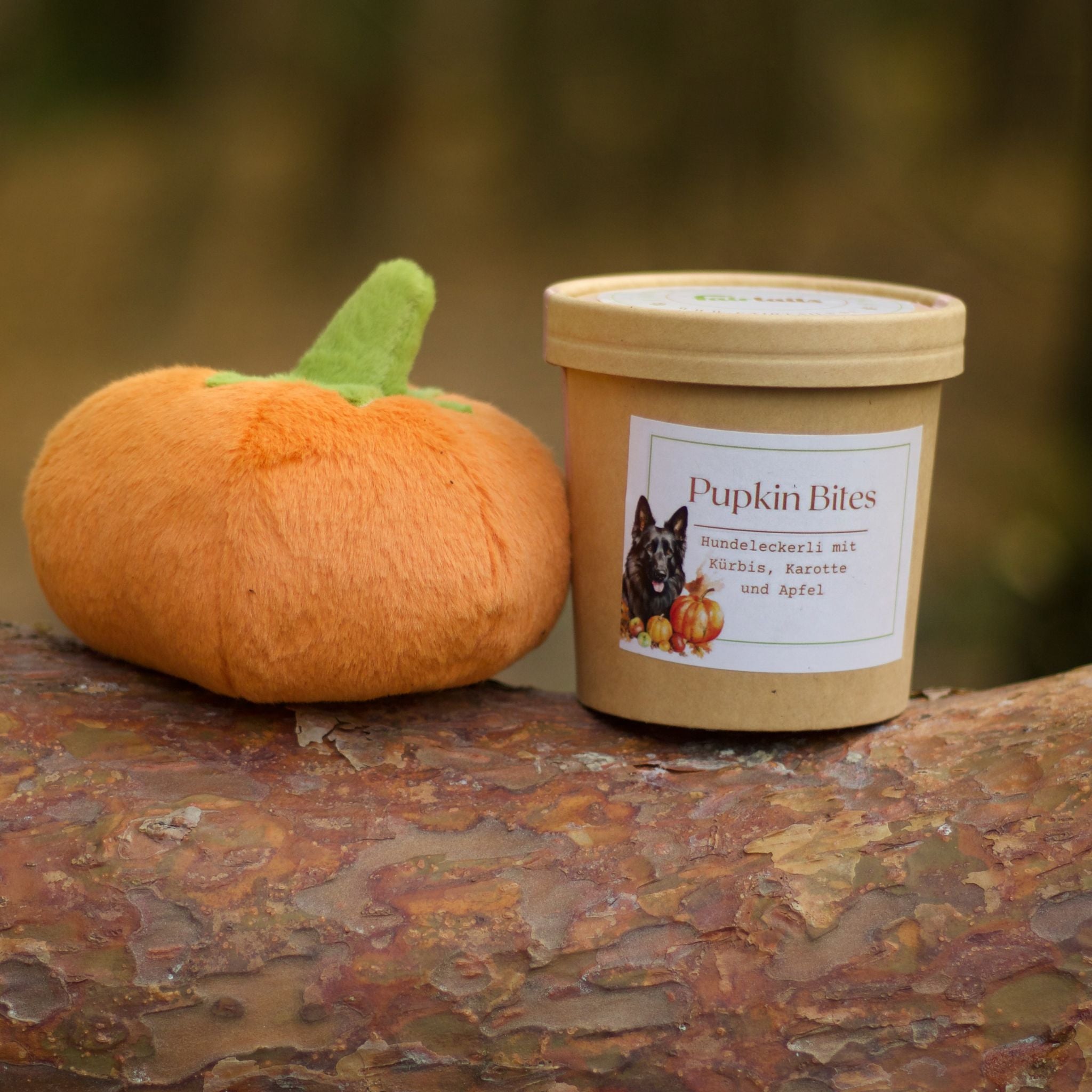Vegane Hundeleckerli mit Kürbis bei Fairtails