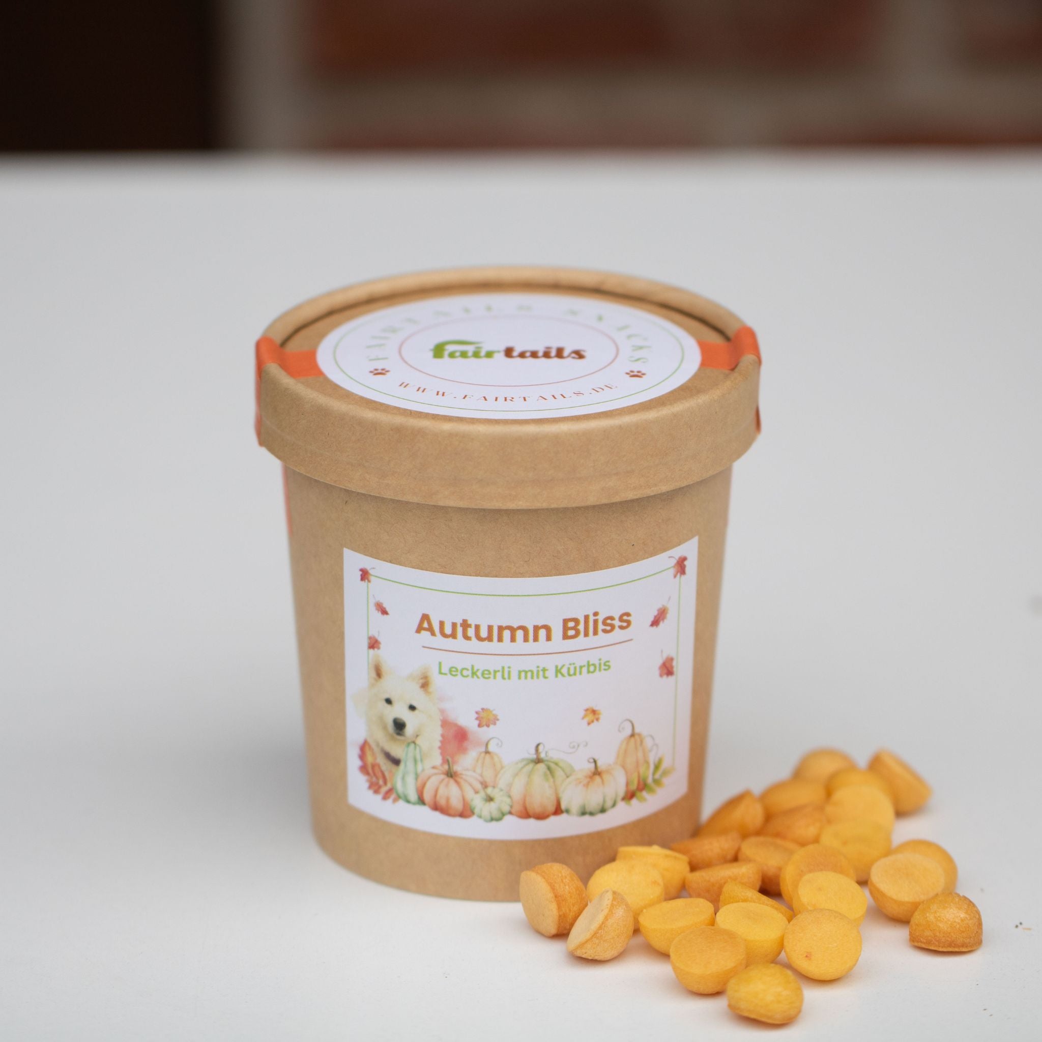 Vegane Hundeleckerli Kürbis bei Fairtails