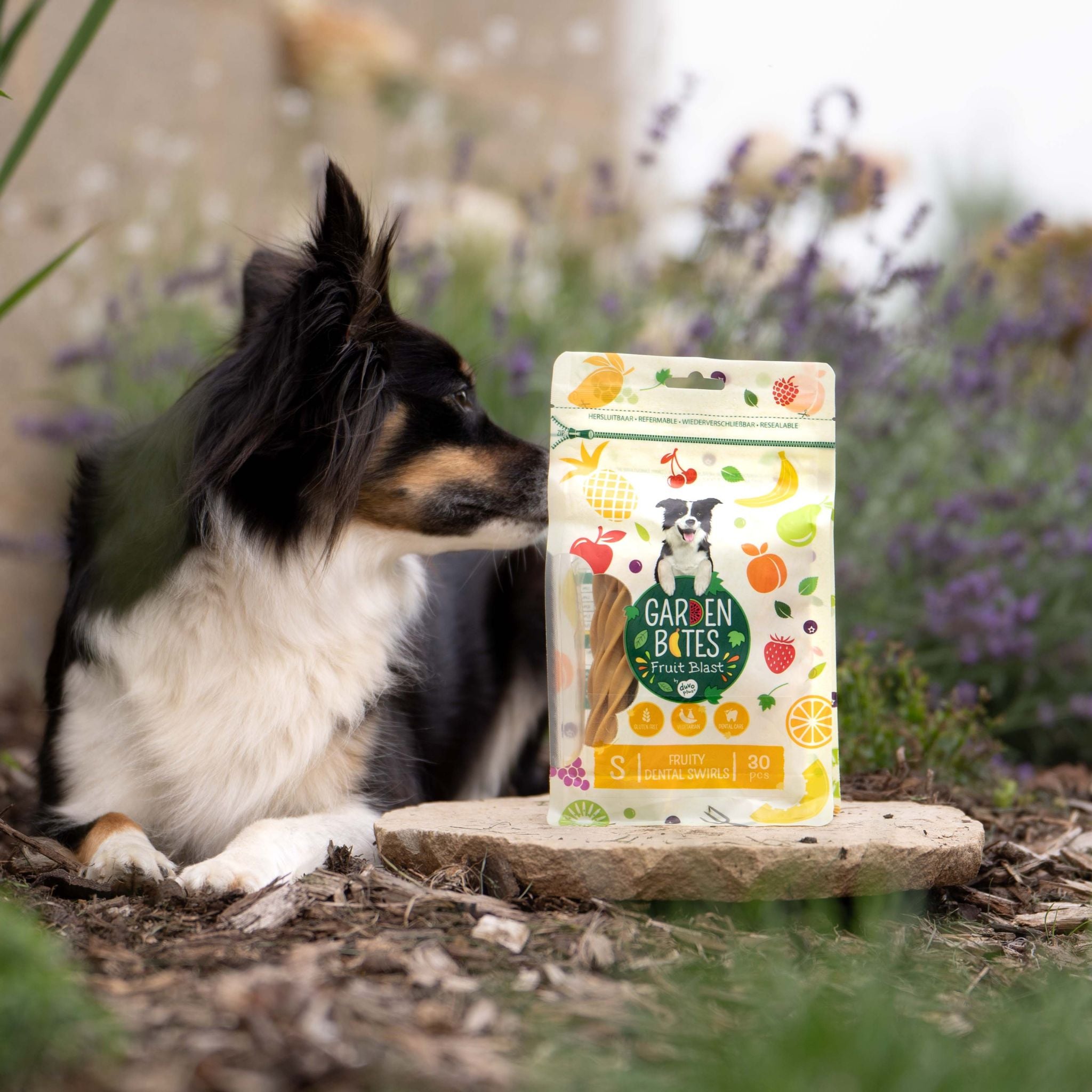 Garden Bites Fruity Dental Swirls Large - vegane Kauartikel