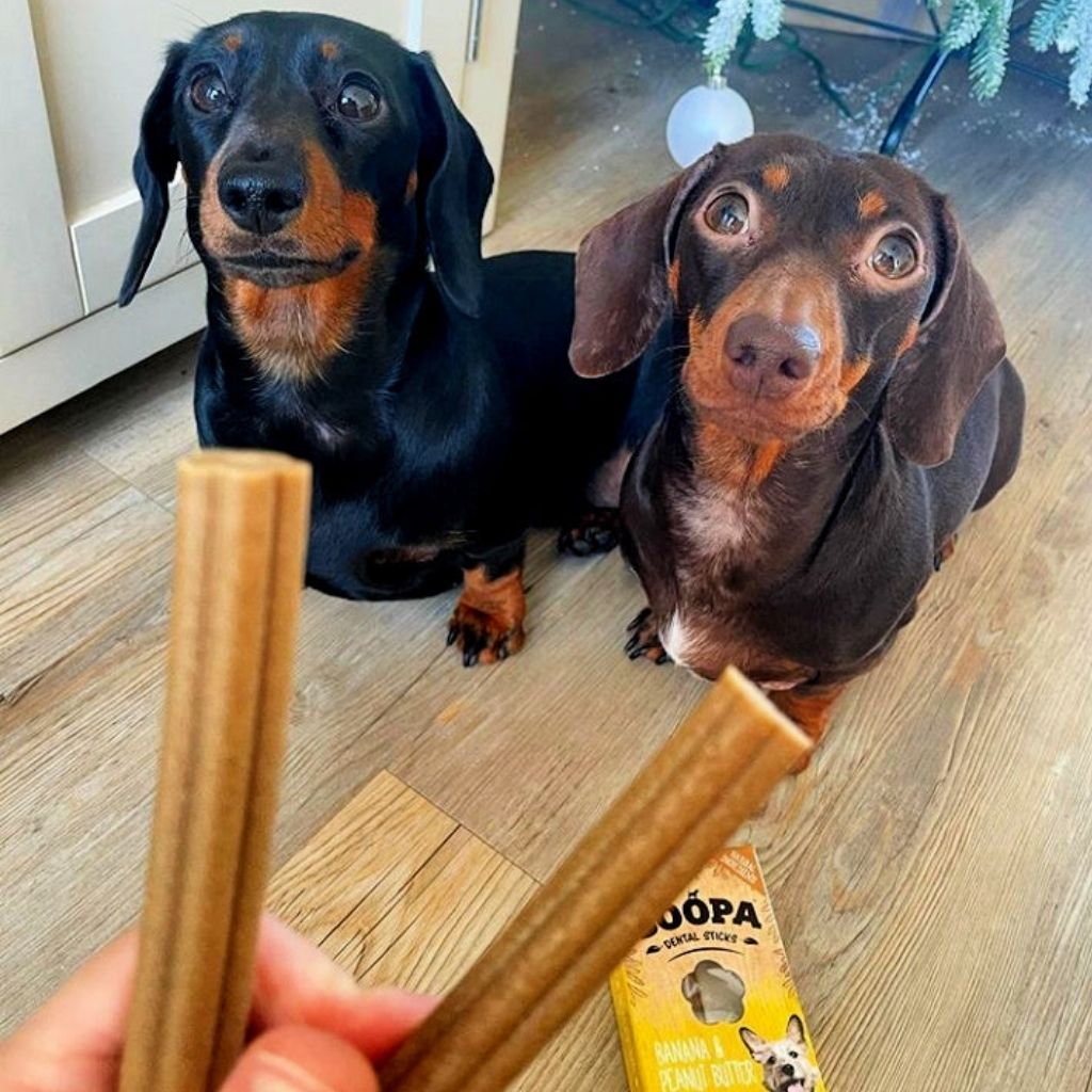 Soopa Dental Sticks Banane Erdnussbutter - vegane Kauartikel bei Fairtails