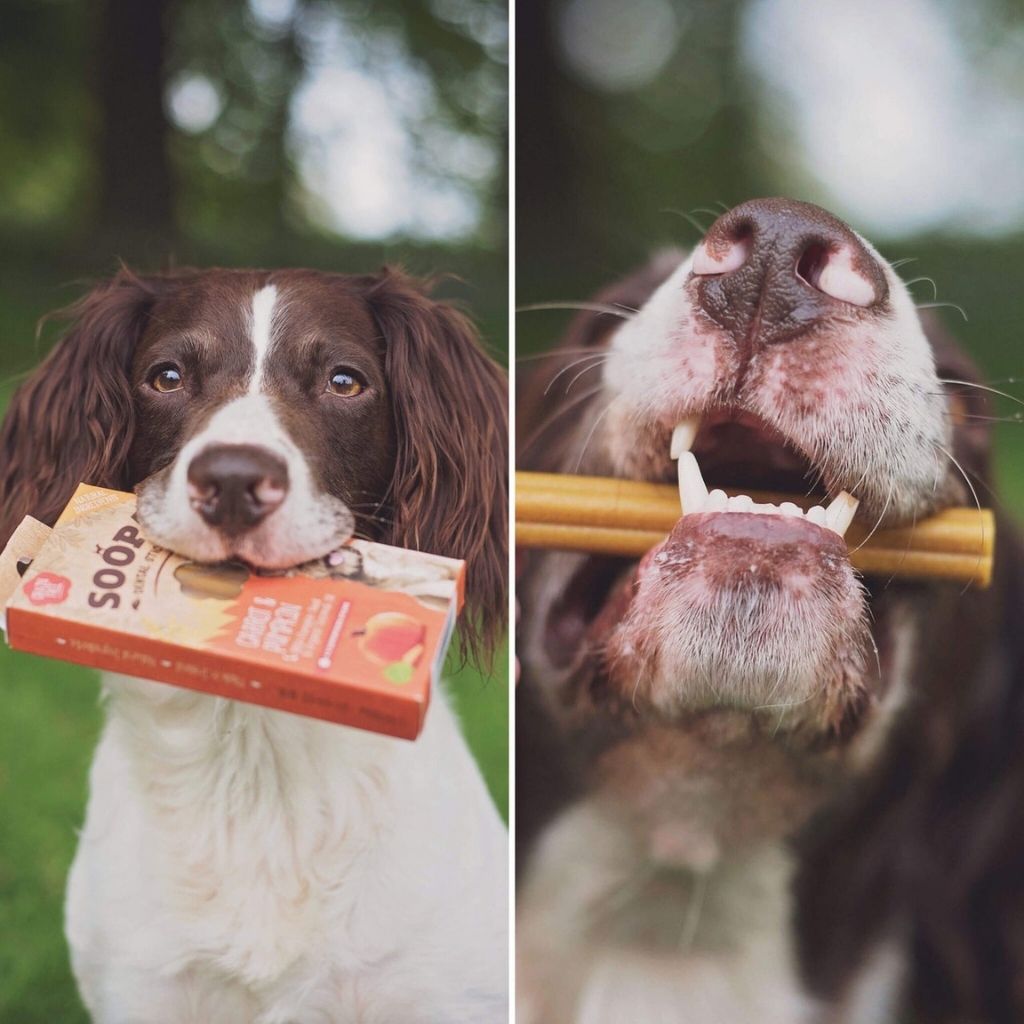 Soopa Dental Sticks Karotte Kürbis - vegane Kauartikel bei Fairtails