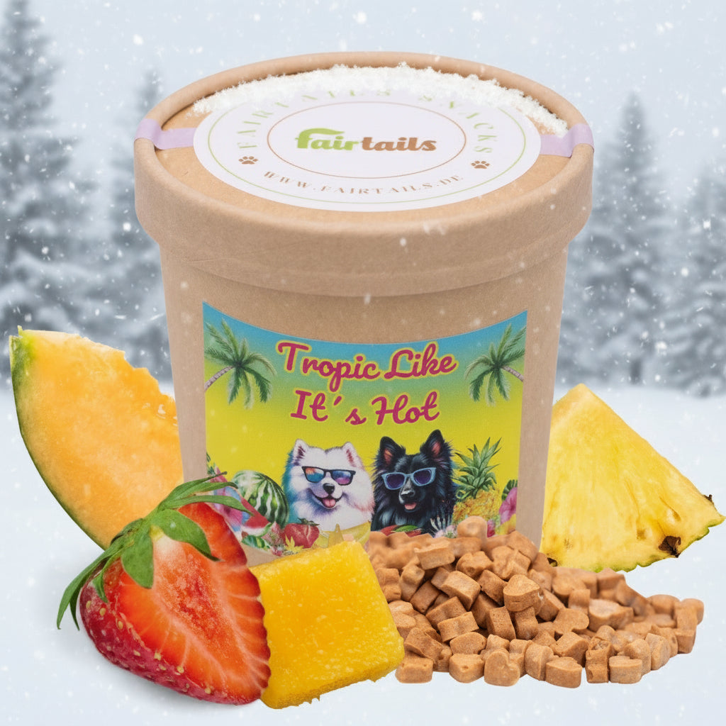 Tropic Like It`s Hot- Vegane Hundeleckerli mit tropischen Früchten