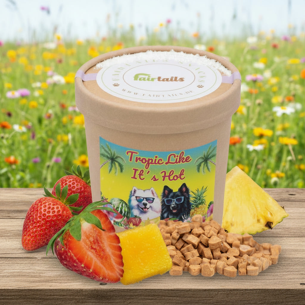 Tropic Like It`s Hot- Vegane Hundeleckerli mit tropischen Früchten
