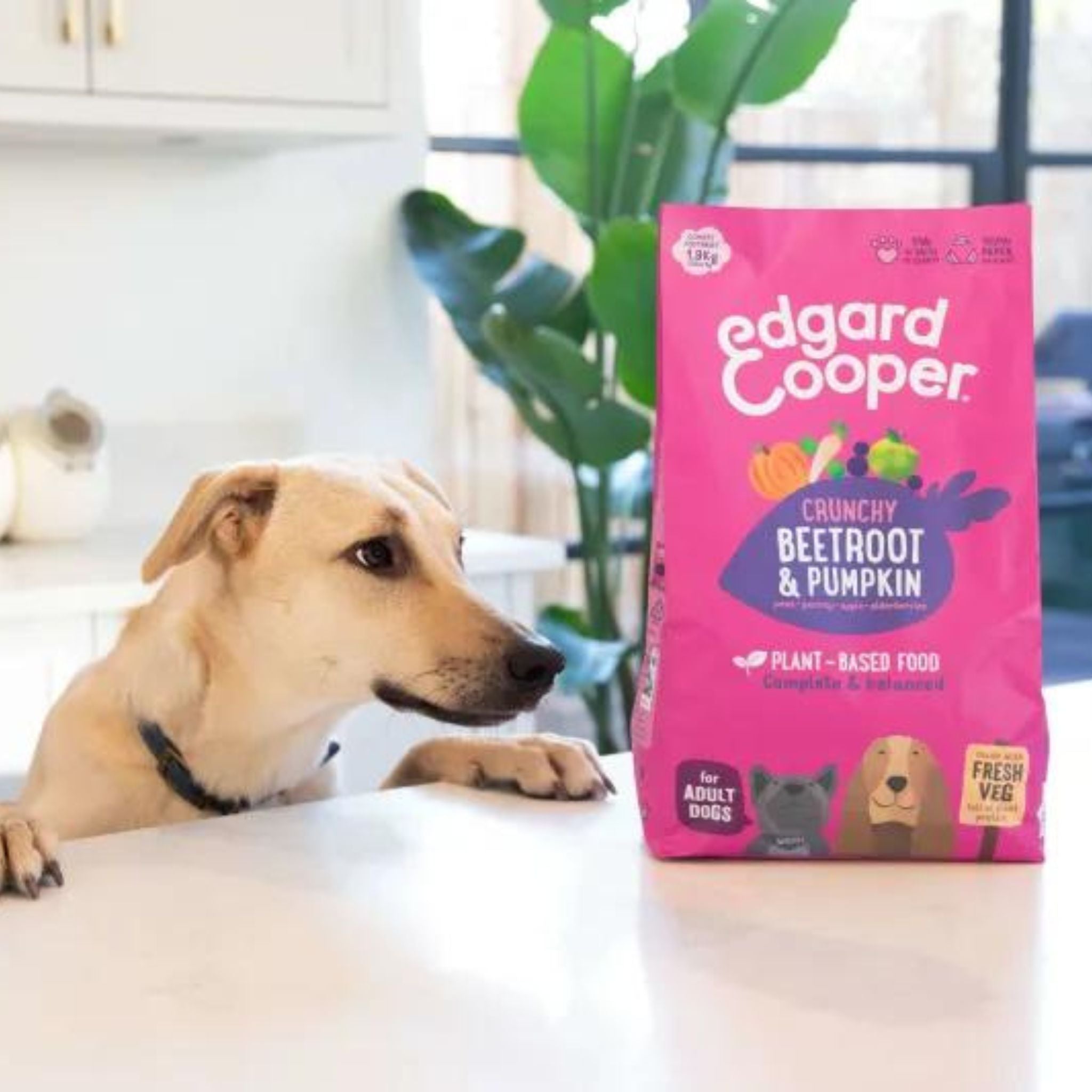 Edgard & Cooper vegetarisches Hundefutter - Knusprige Rote Beete & Kürbis