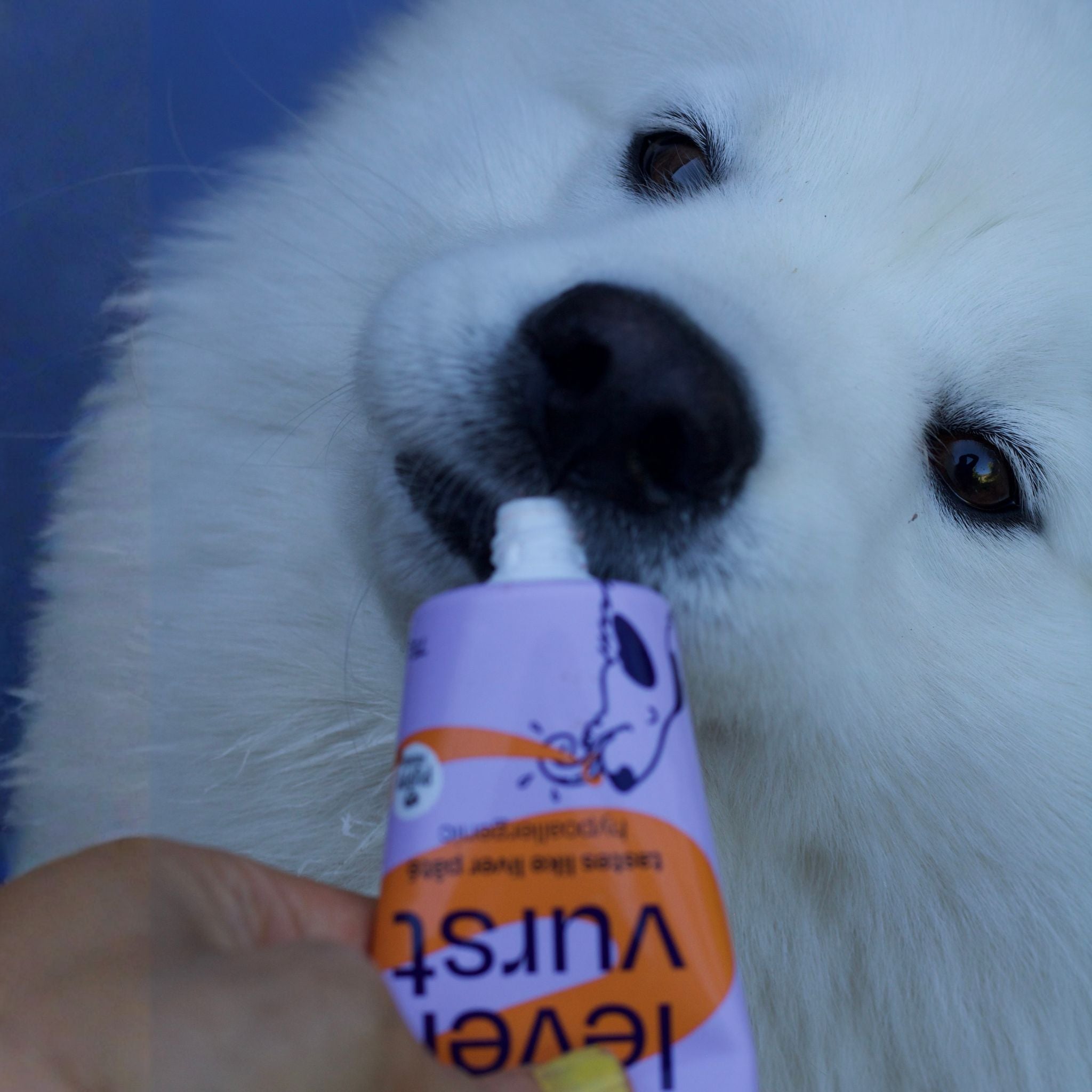 Vegdog Levervurst-vegane Schleckcreme bei Fairtails