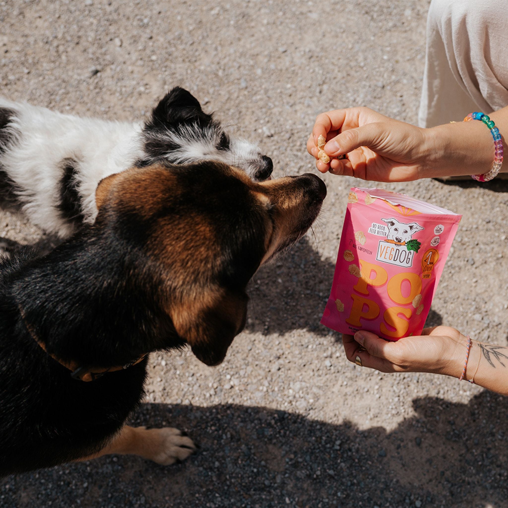 Vegdog Pops - veganes Popcorn für Hunde