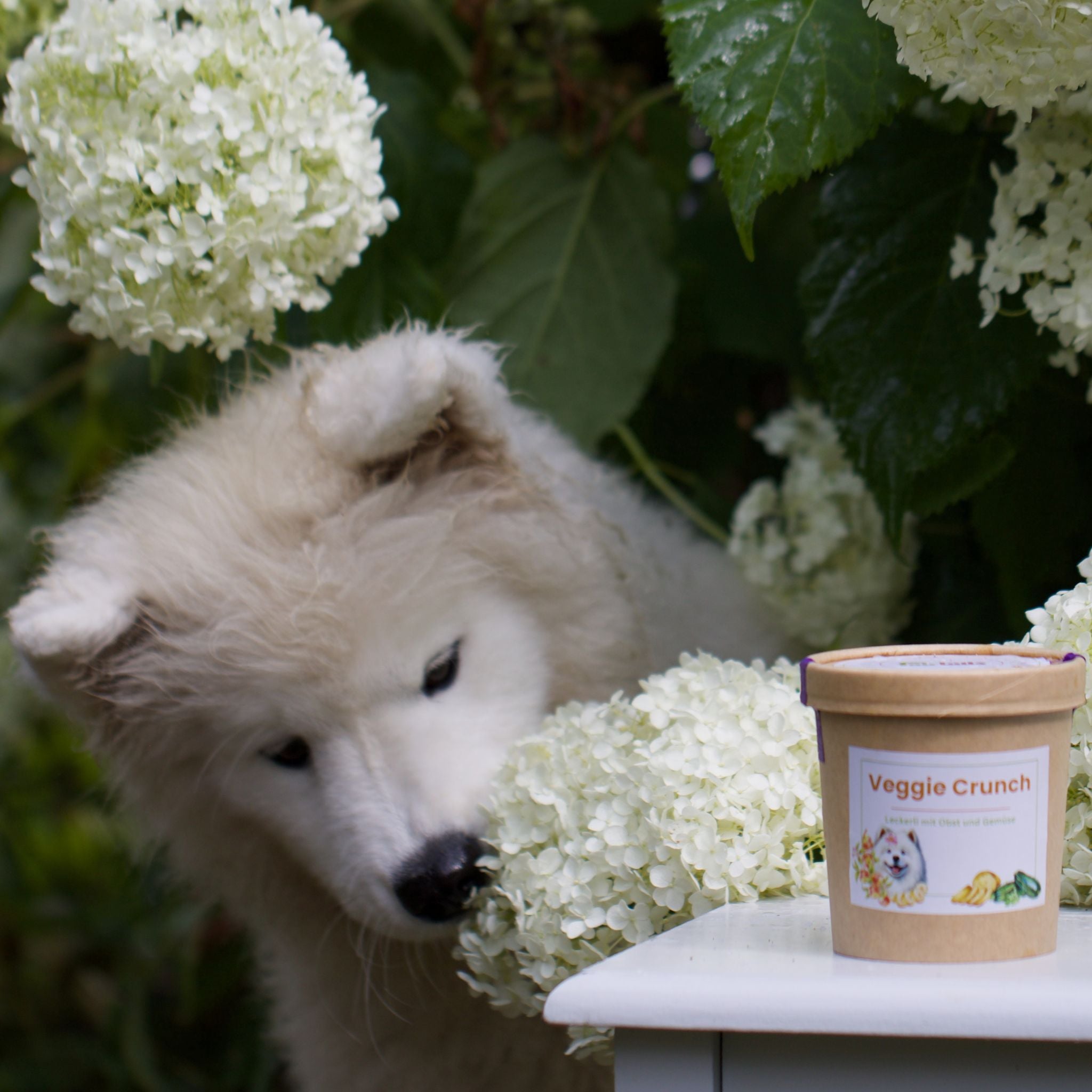 Vegane Hundeleckerli bei Fairtails