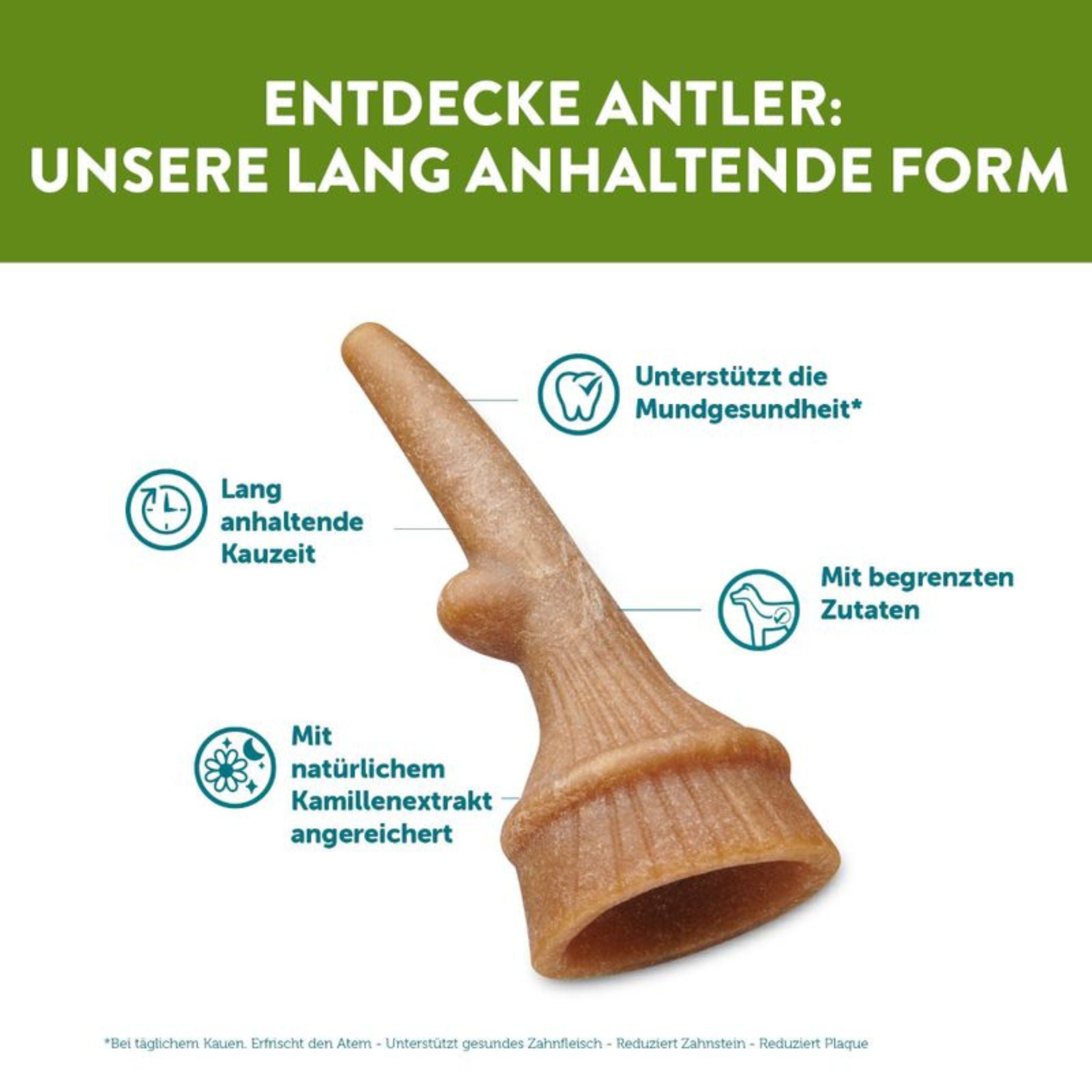 WHIMZEES Antler Medium - veganes Hirschgeweih für Hunde (12 Stück/360g)