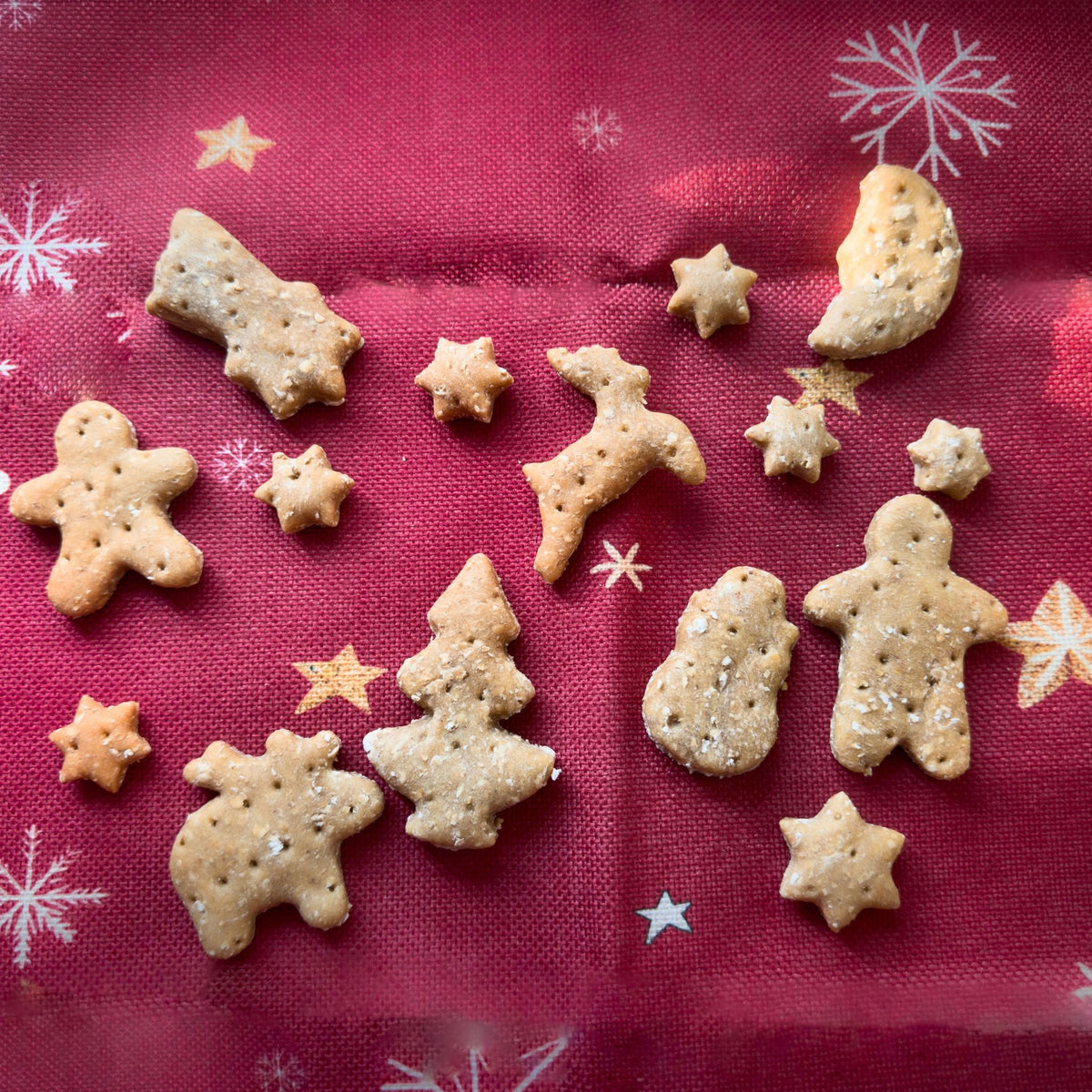 Fairtails Weihnachtswunder Cookies - vegane Hundekekse