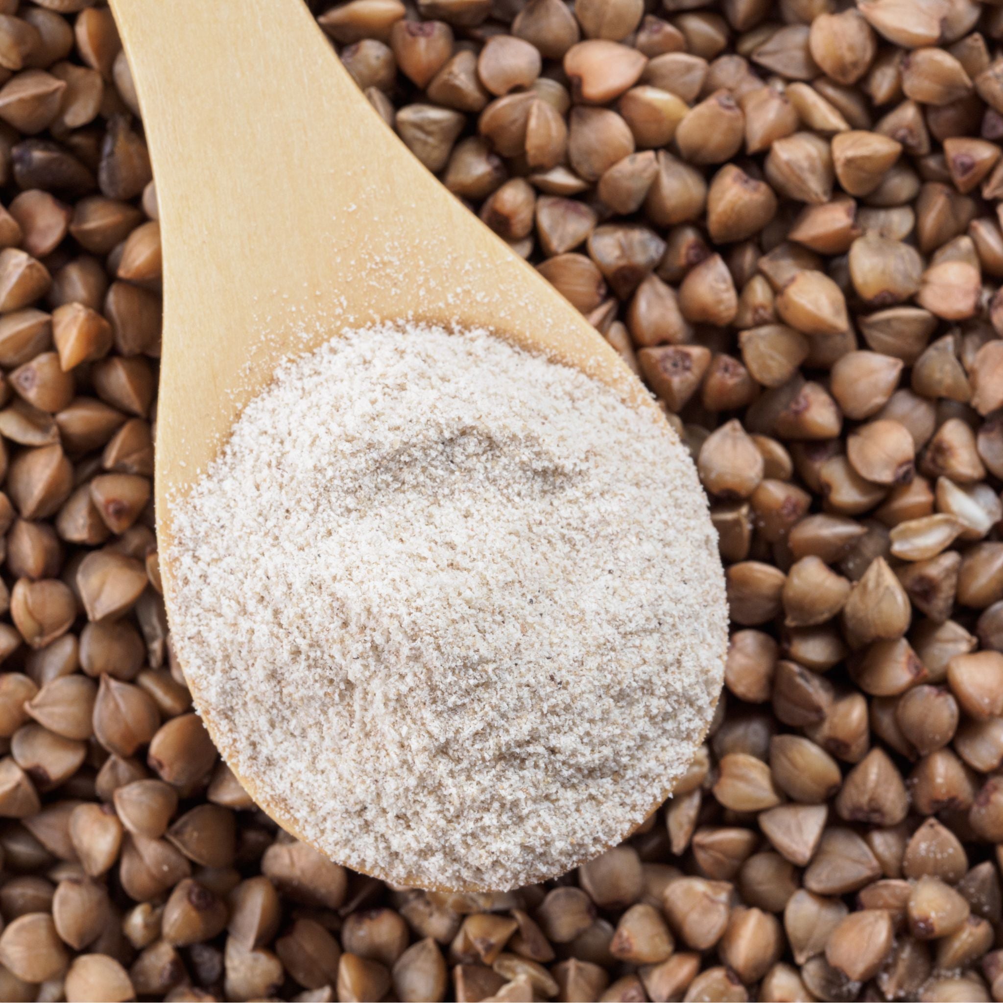 Hundekekse für Allergiker vegan bei Fairtails
