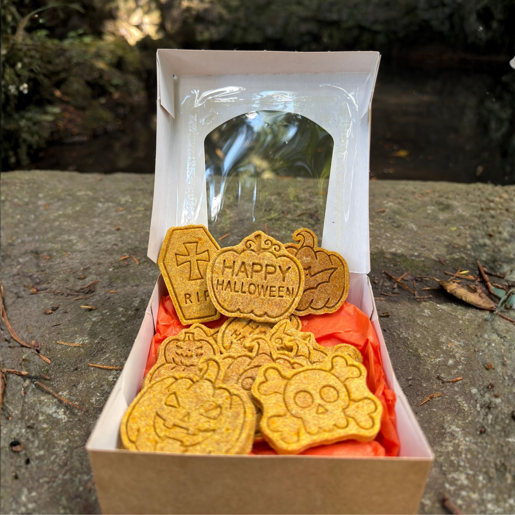 Vegane Hundekekse - Spooky Cookies bei Fairtails