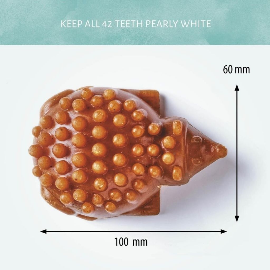 Veganer Kausnack für Hunde Antos Cerea Igel bei FairTails