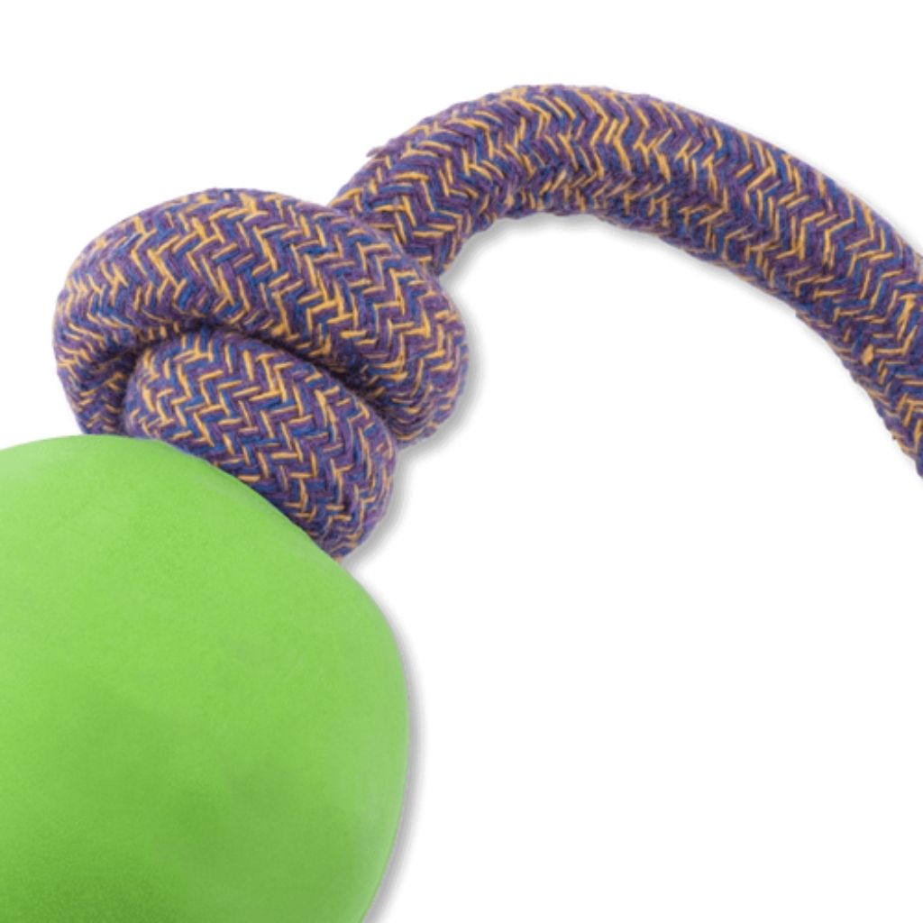Beco Pets Ball am Seil grün nachhaltiges Hundespielzeug bei Fairtails