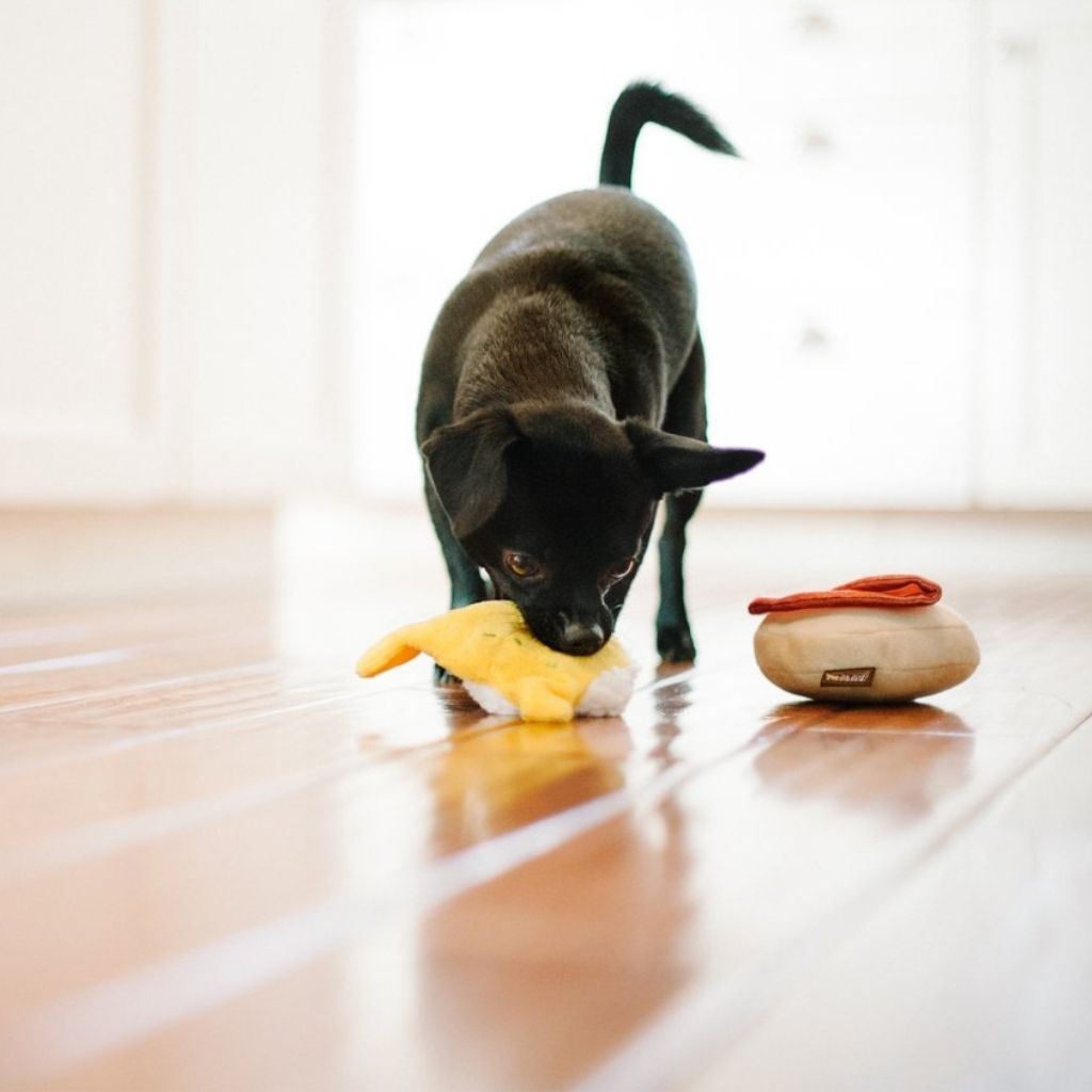 P.L.A.Y. lustiges Hundespielzeug Benny´s Benedict - FairTails