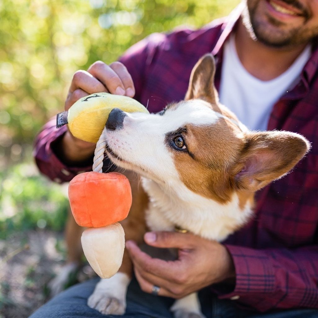 P.L.A.Y. Halloween Canine Corn Hundespielzeug bei Fairtails