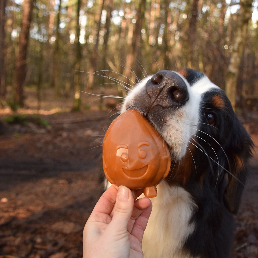 Garden Bites Fruity Friends | vegane Kauartikel Hund | Fairtails