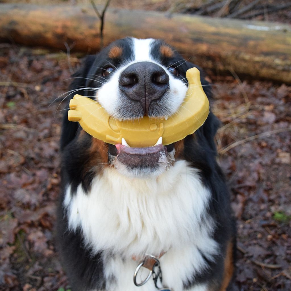 Garden Bites Fruity Friends | vegane Kauartikel Hund | Fairtails