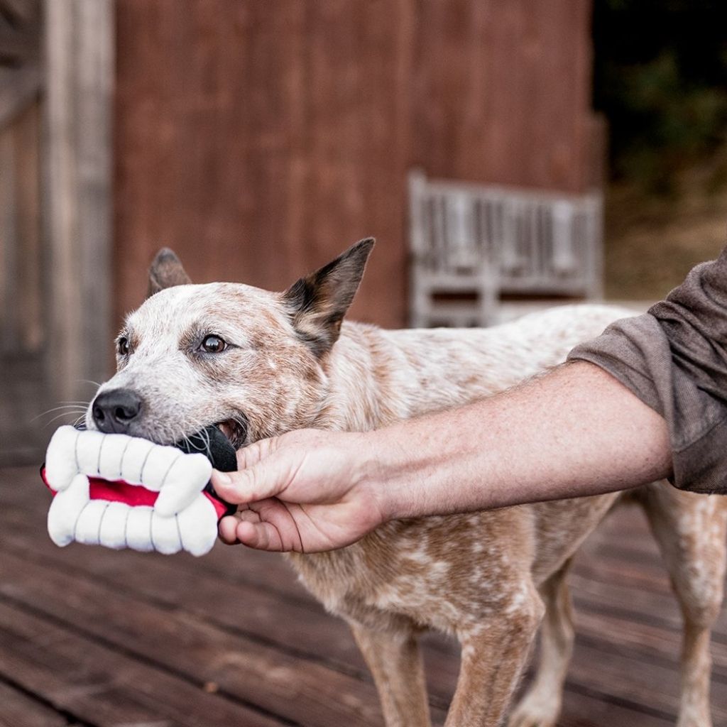 P.L.A.Y. Halloween Hundespielzeug bei Fairtails