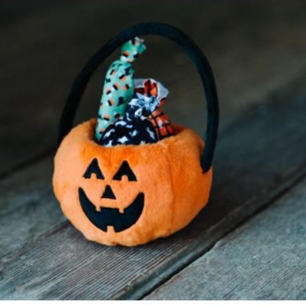 Hundespielzeug Kürbis Halloween bei FairTails