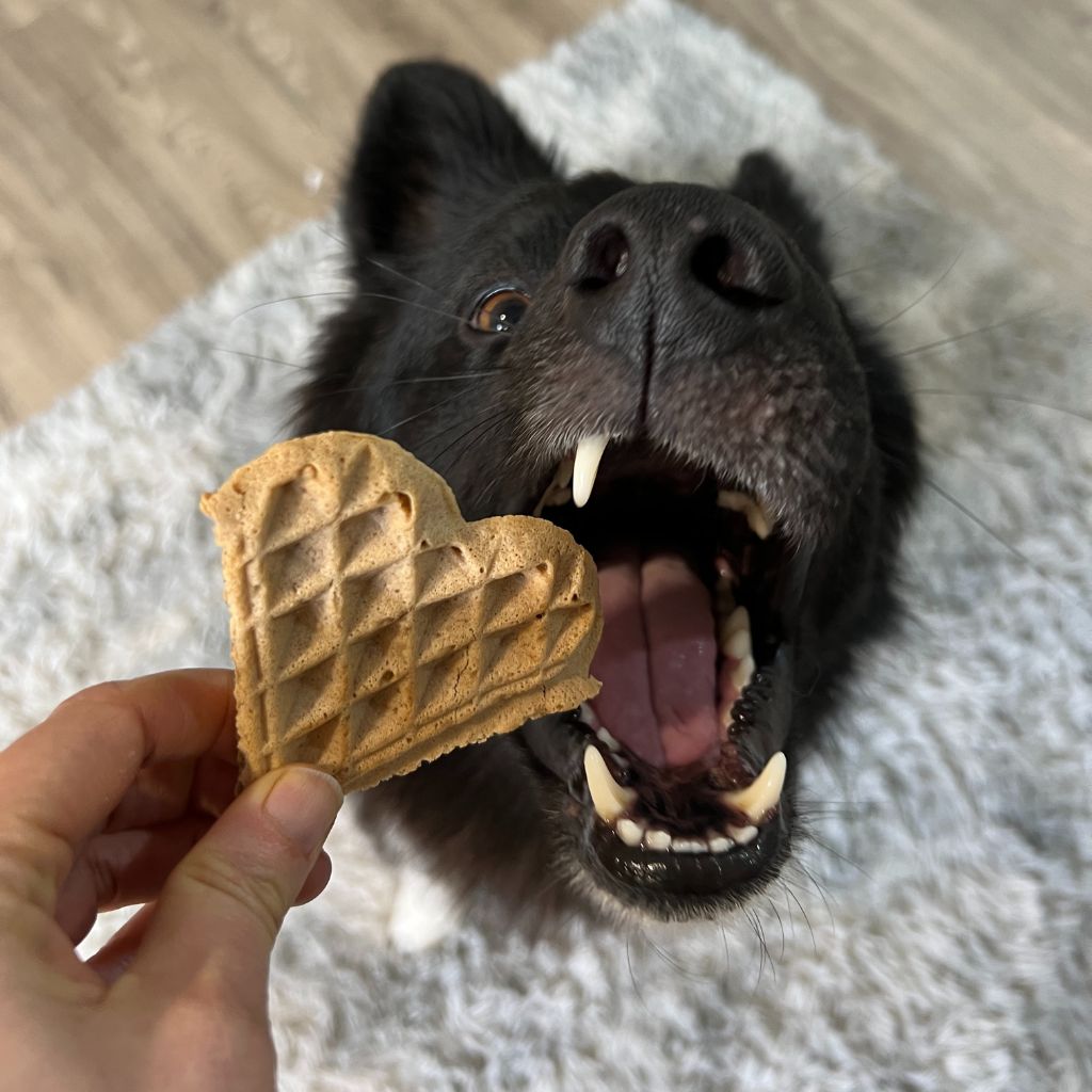 Vegane Hundeleckerli Hundewaffel Banane Erdnuss - Fairtails