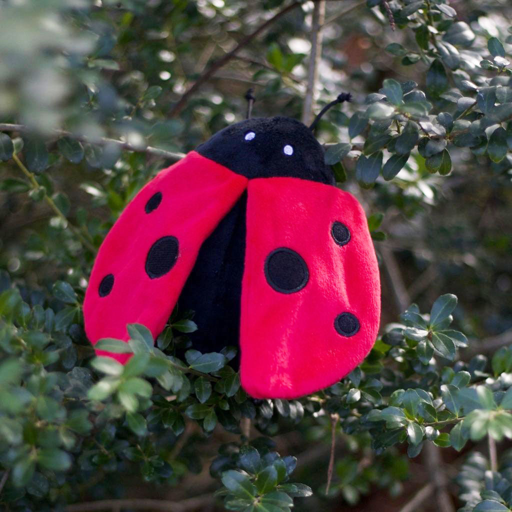 P.L.A.Y. Hundespielzeug Marienkäfer - nachhaltiges Hundespielzeug bei FairTails