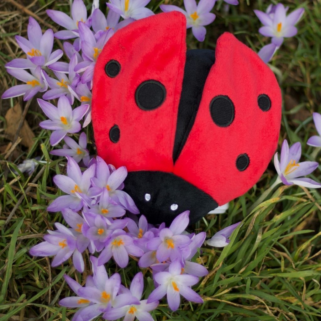 P.L.A.Y. Hundespielzeug Marienkäfer - nachhaltiges Hundespielzeug bei FairTails