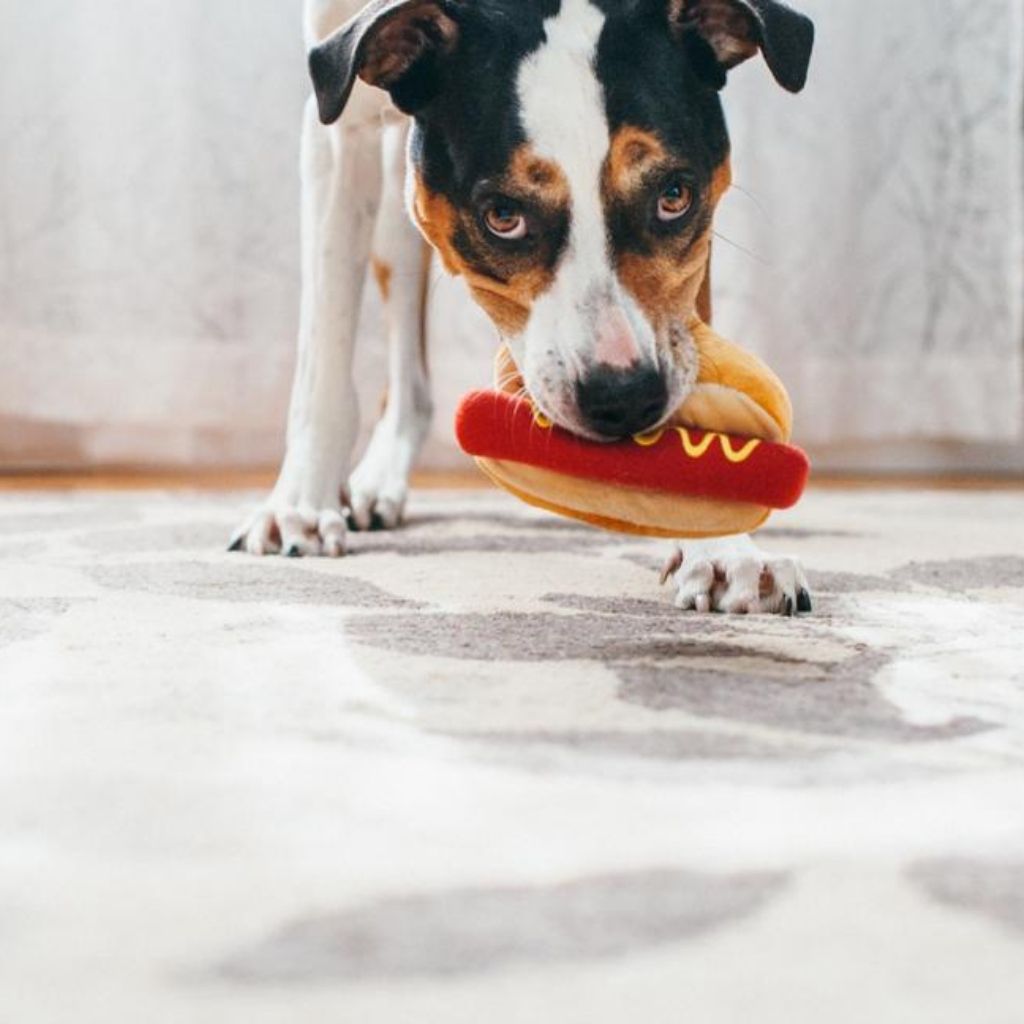 Hot Dog Hundespielzeug / nachhaltiges Hundespielzeug von P.L.A.Y. bei Fairtails