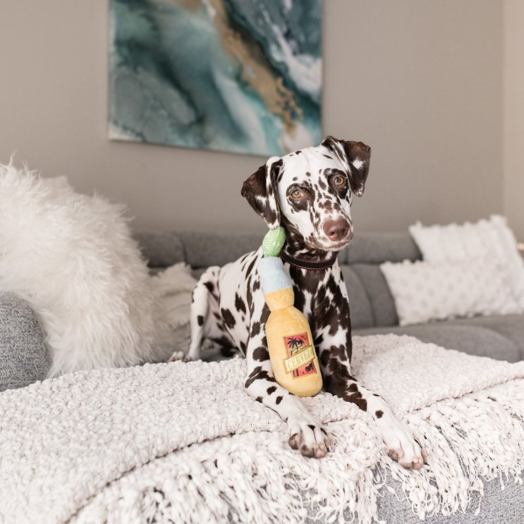 P.L.A.Y. Hundespielzeug Bier - nachhaltiges Hundespielzeug bei Fairtails