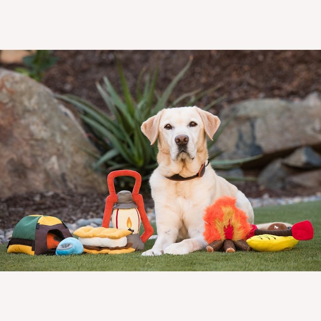 P.L.A.Y. Hundespielzeug Lagerfeuer- nachhaltiges Hundespielzeug bei Fairtails