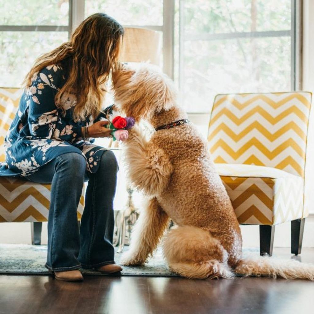 P.L.A.Y. Hundespielzeug Valentinstag Rosen Hundespielzeug bei Fairtails