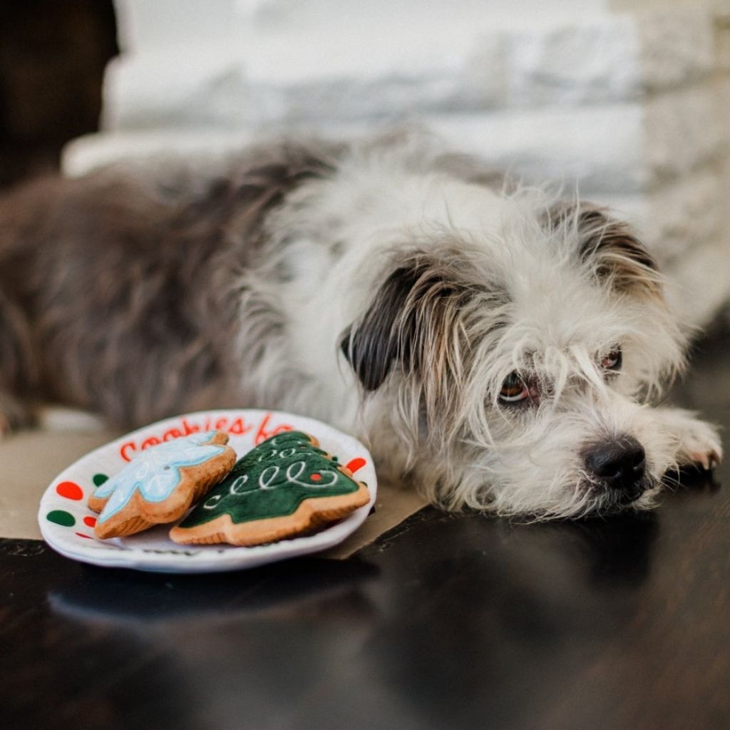 P.L.A.Y. Weihnachtsspielzeug für Hunde bei Fairtails