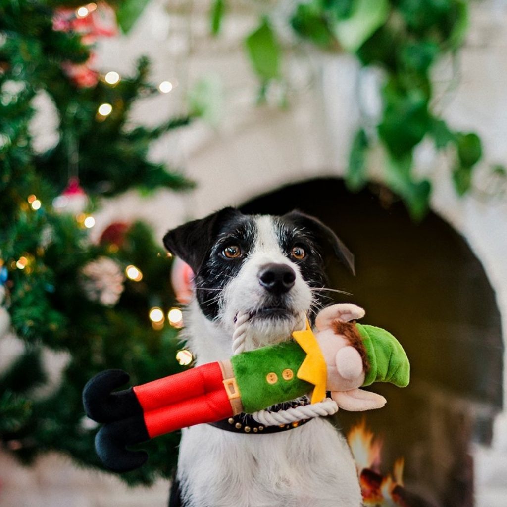 P.L.A.Y. Weihnachtsspielzeug für Hunde bei Fairtails