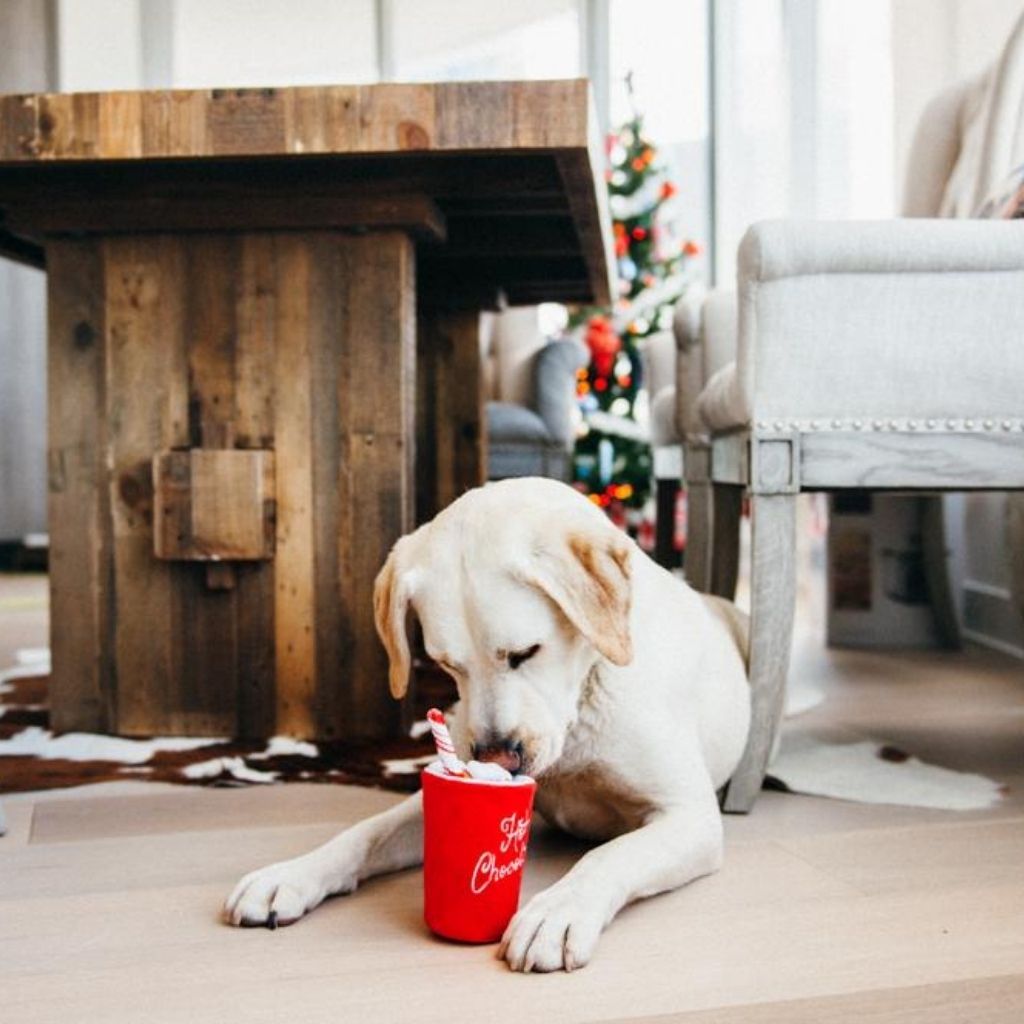 P.L.A.Y. Weihnachtsspielzeug für Hunde bei Fairtails