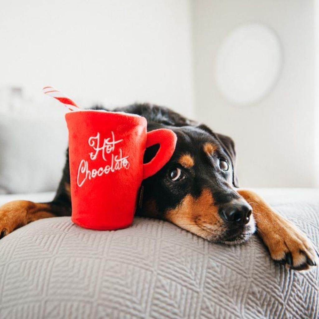 P.L.A.Y. Weihnachtsspielzeug für Hunde bei Fairtails