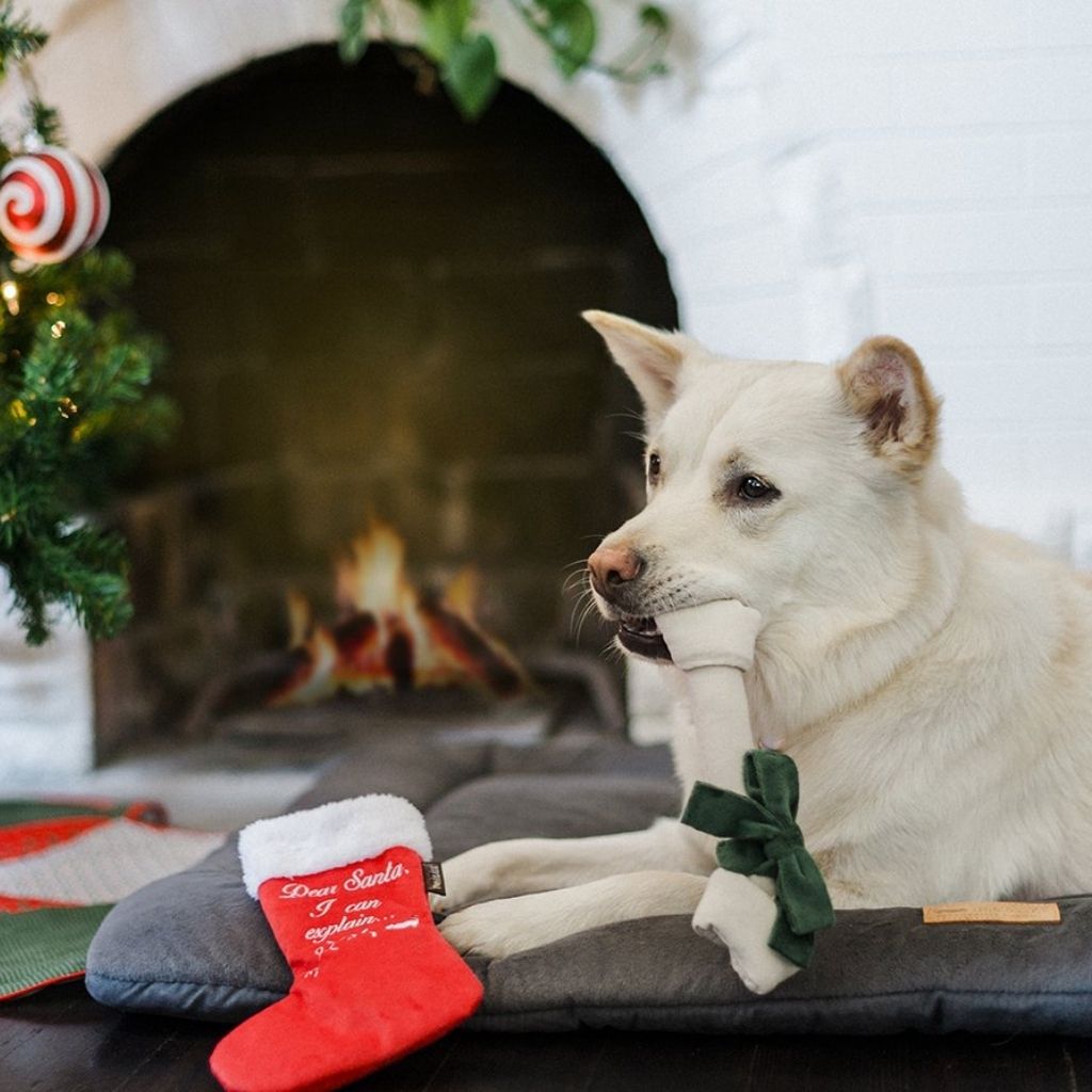 P.L.A.Y. Weihnachtsspielzeug für Hunde bei Fairtails