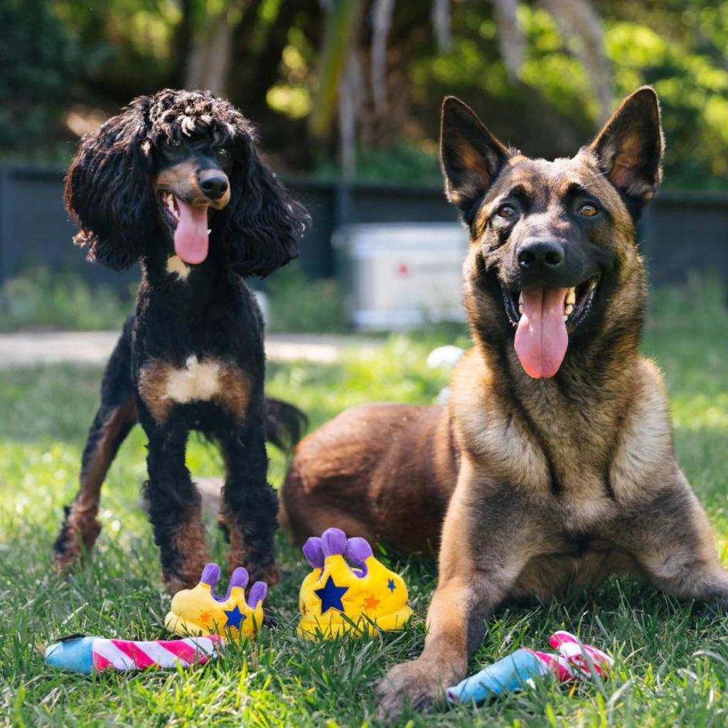 P.L.A.Y. Hundespielzeug Mini Canine Crown