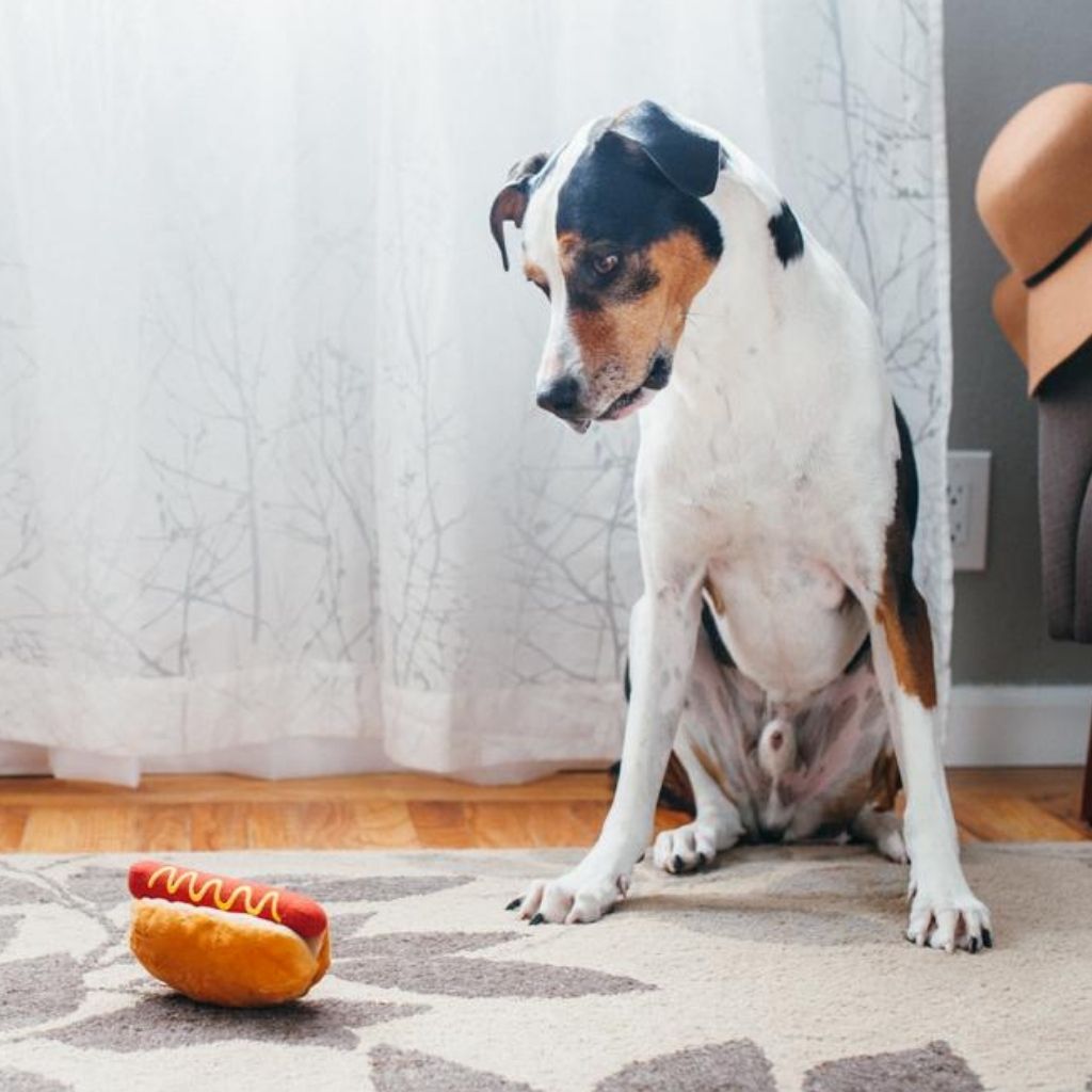 Hot Dog Hundespielzeug / nachhaltiges Hundespielzeug von P.L.A.Y. bei Fairtails
