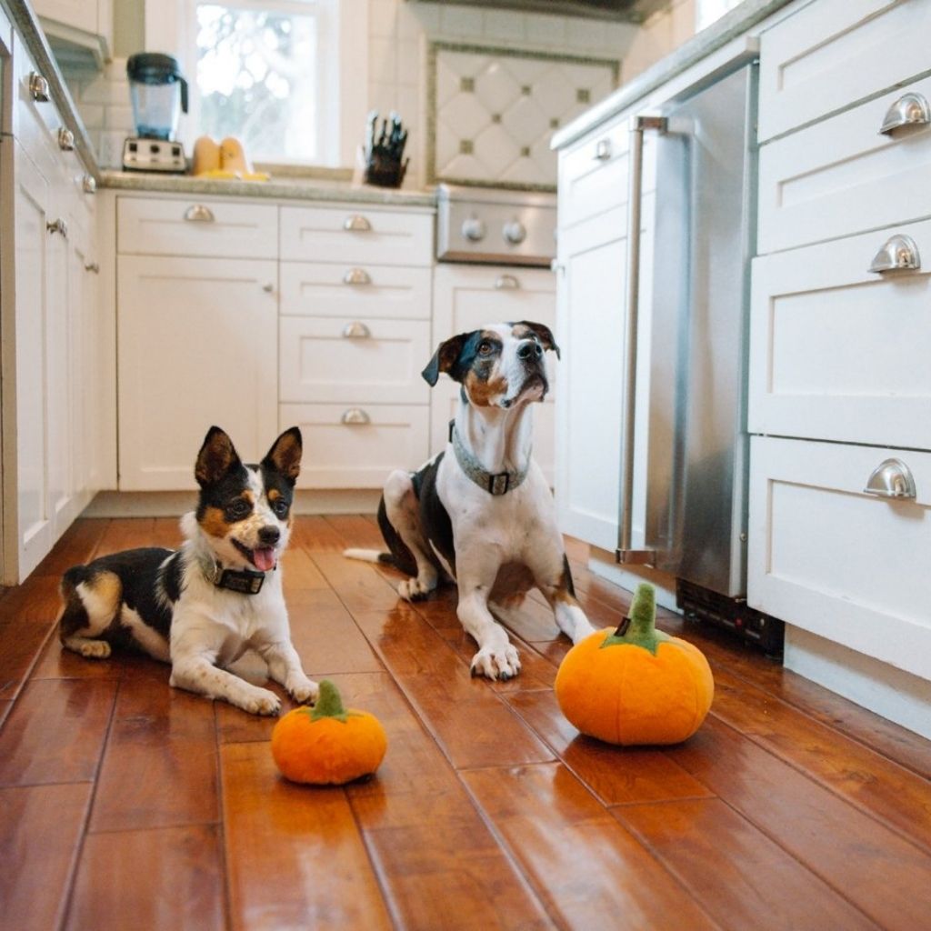 P.L.A.Y. Hundespielzeug Apfel - nachhaltiges Hundespielzeug für Welpen bei Fairtails
