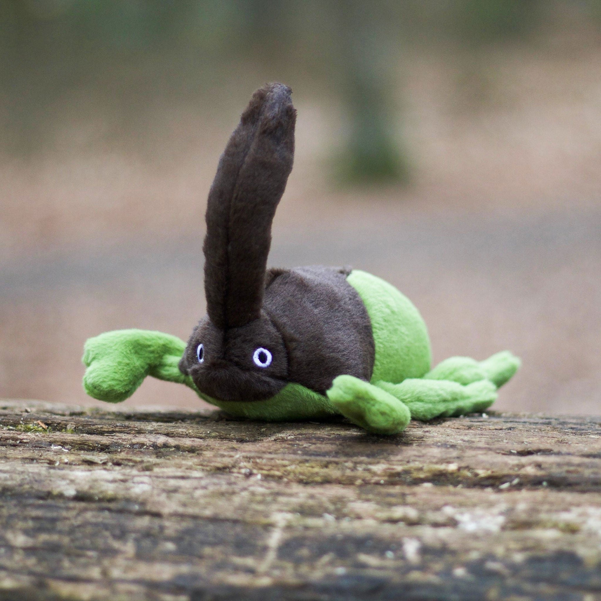 P.L.A.Y. Hundespielzeug Nashornkäfer nachhaltiges Hundespielzeug bei Fairtails