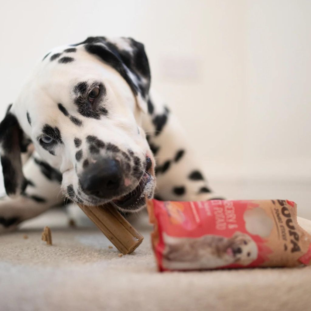 Soopa Jumbo Dental Sticks Cranberry Sweet Potato vegane Kausnacks Hund - Fairtails